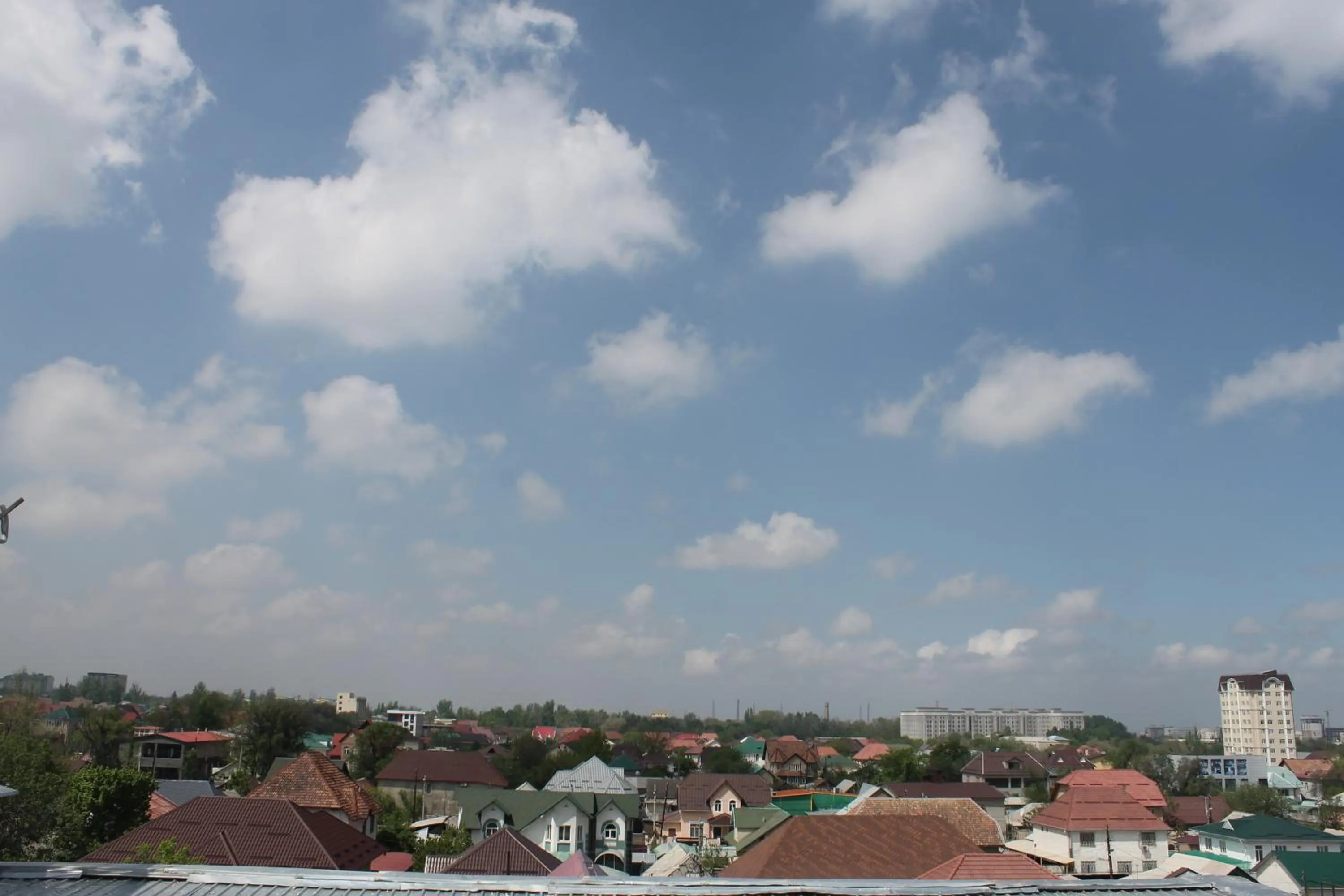 Spring in Olive Hotel Bishkek