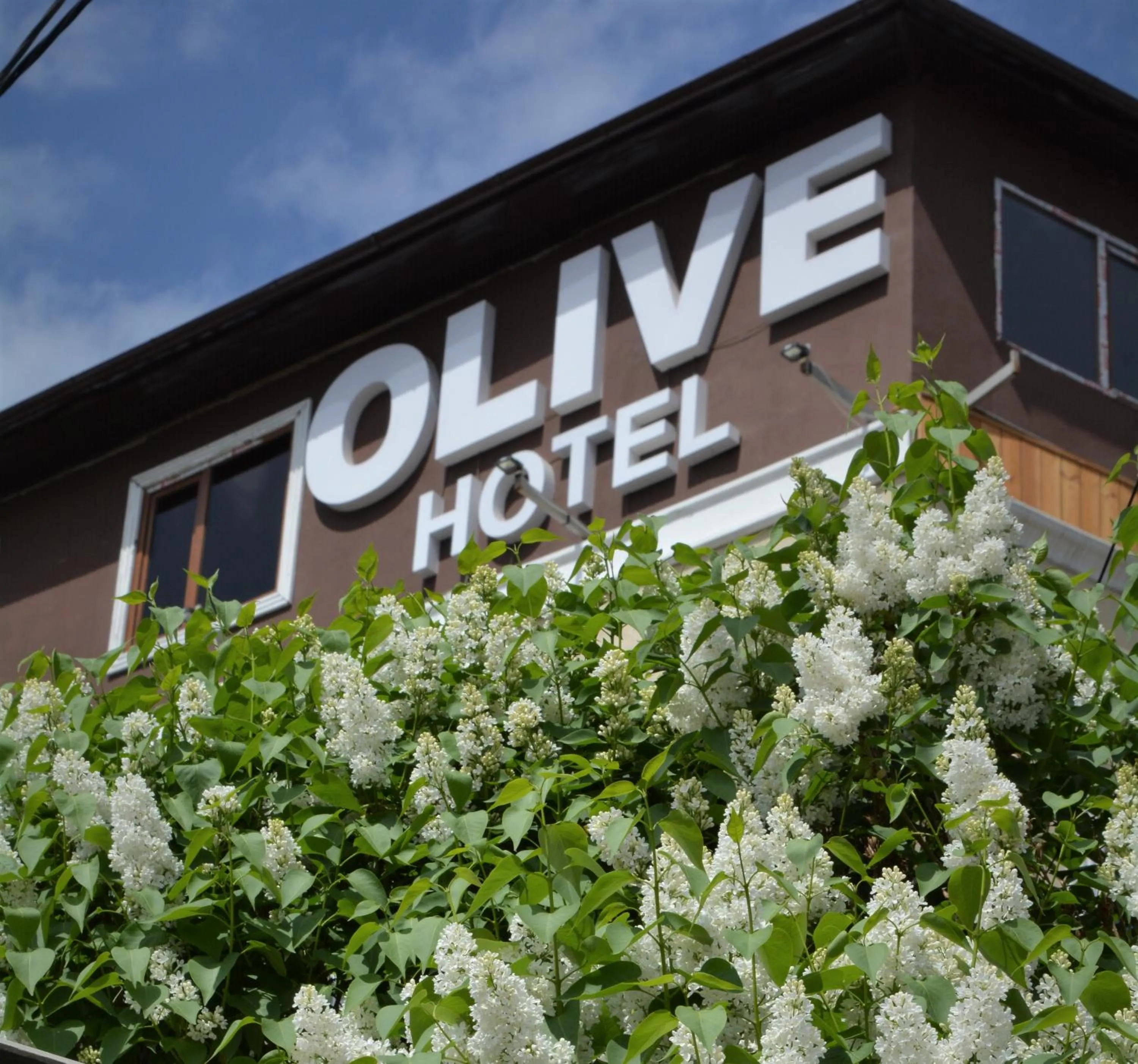Property building in Olive Hotel Bishkek