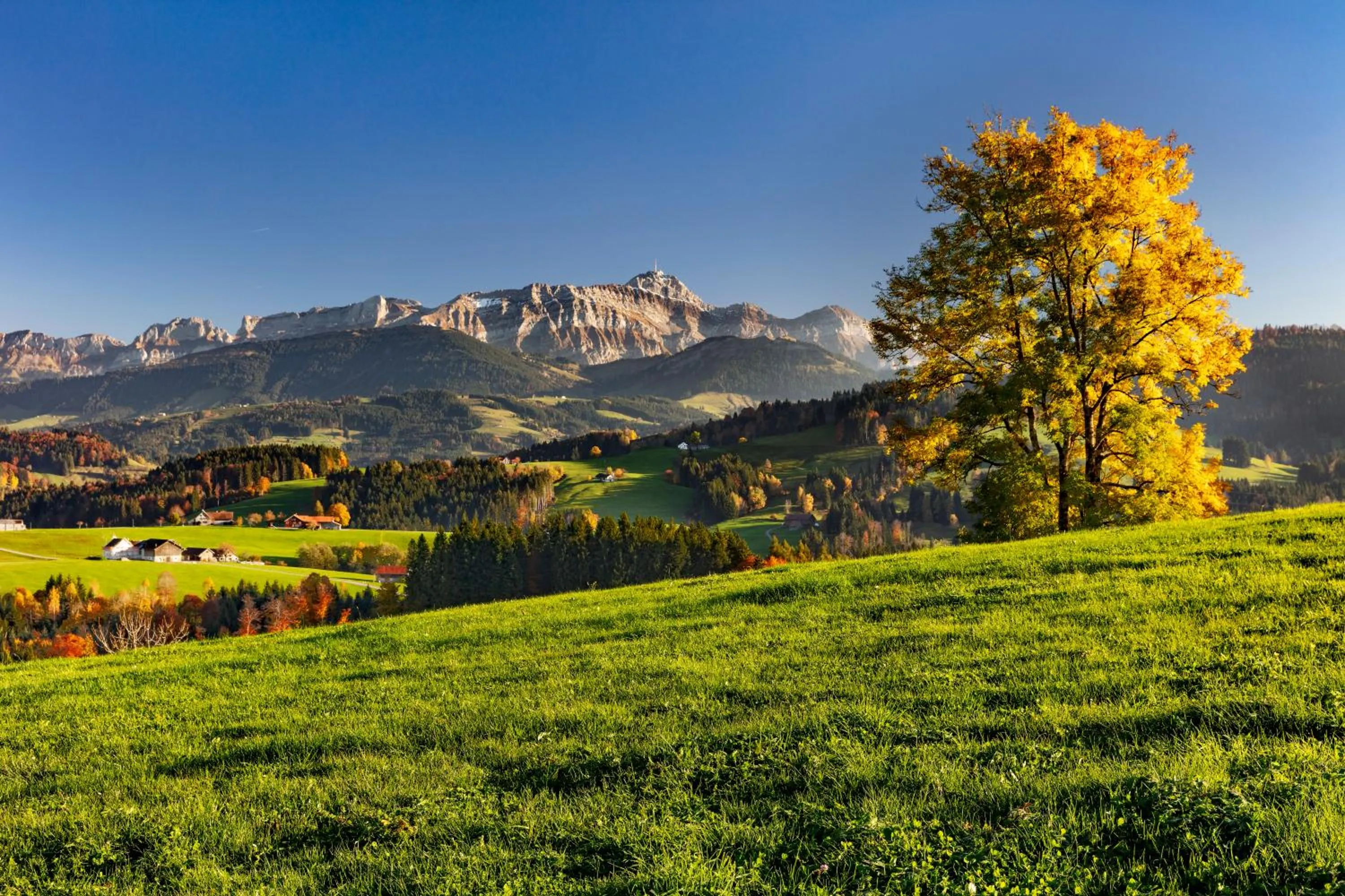 Activities in Hotel Restaurant Krone