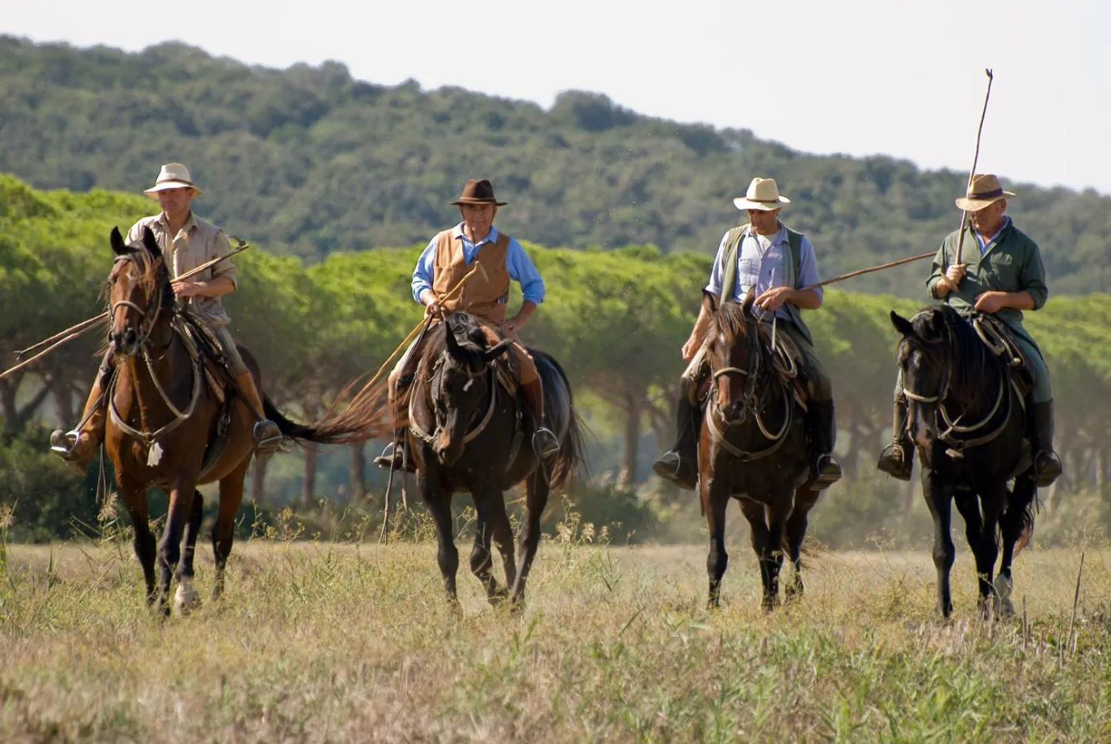 On site in B&B La Pineta