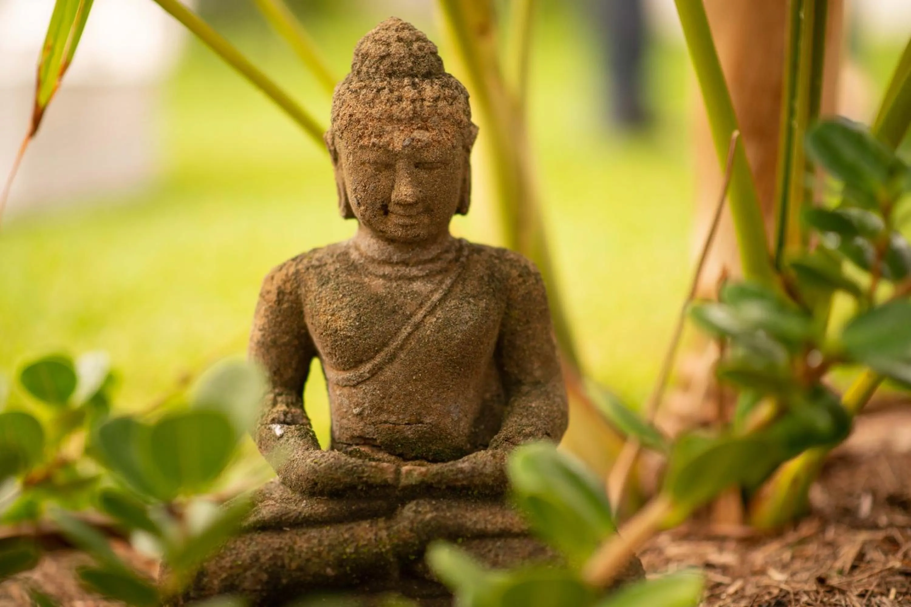 Garden in Blue Heron Boutique Motel