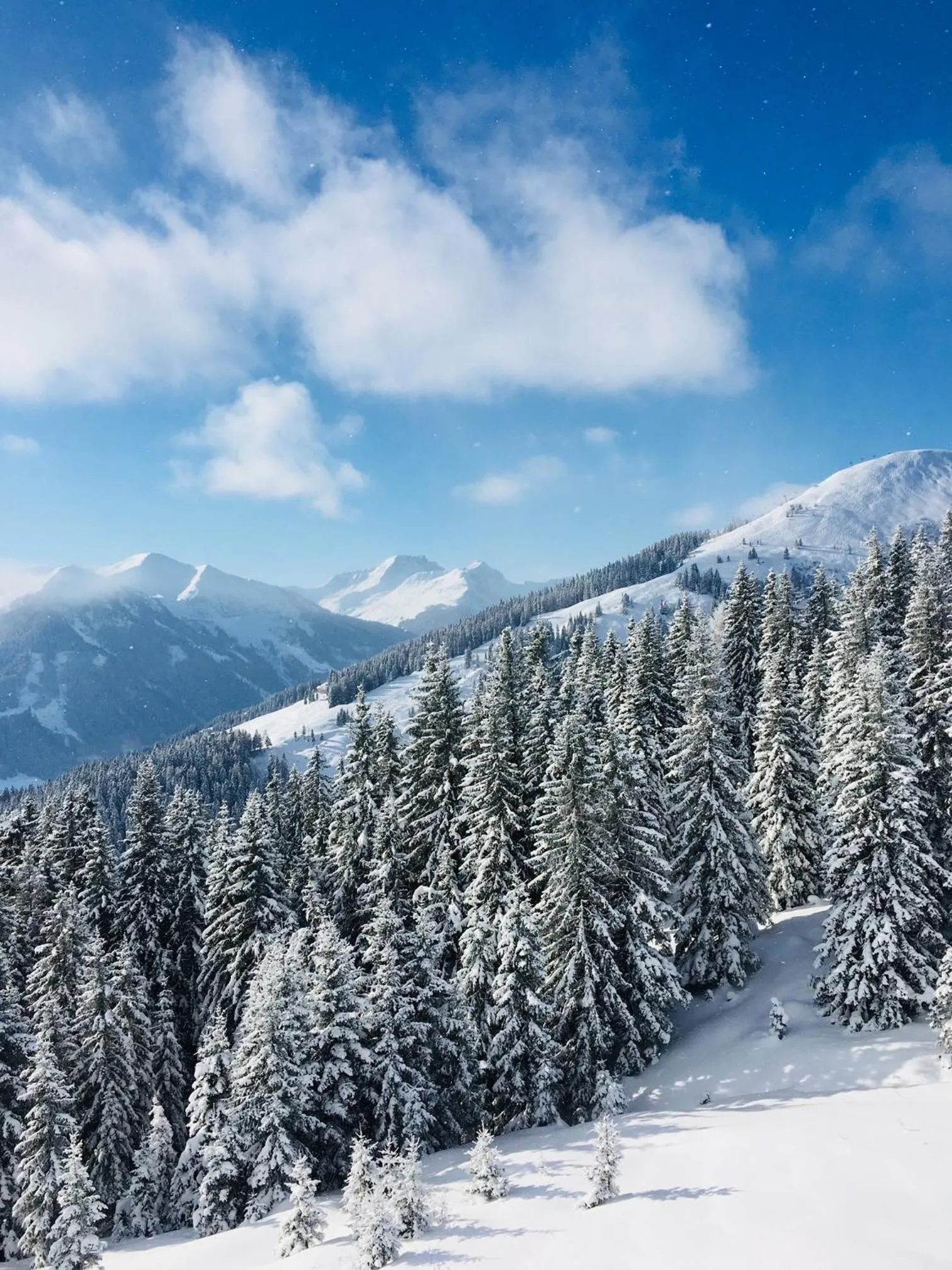 Hotel Residenz Hochalm - SKI IN -SKI OUT