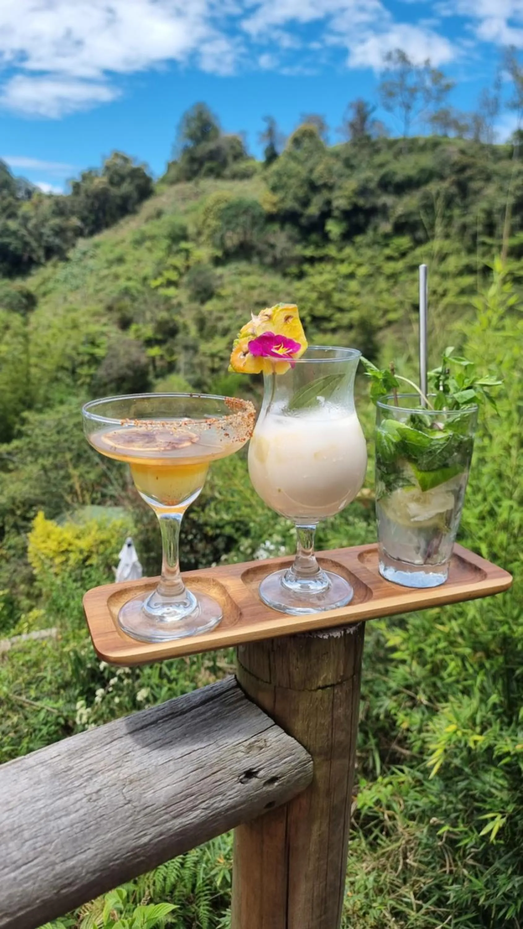 Lounge or bar in Levit Glamping - Hotel Guatapé Peñol