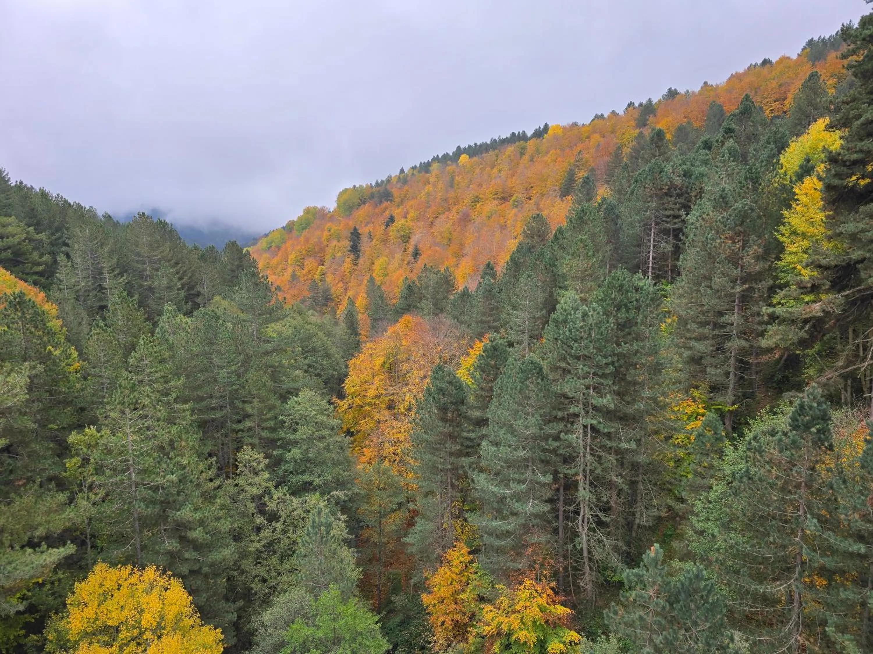 Natural landscape in Hotel del Lago Ampollino