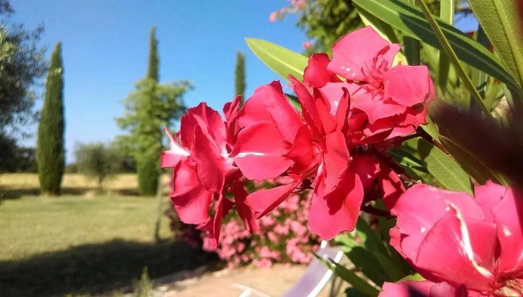 Property building in Ferme Para Lou