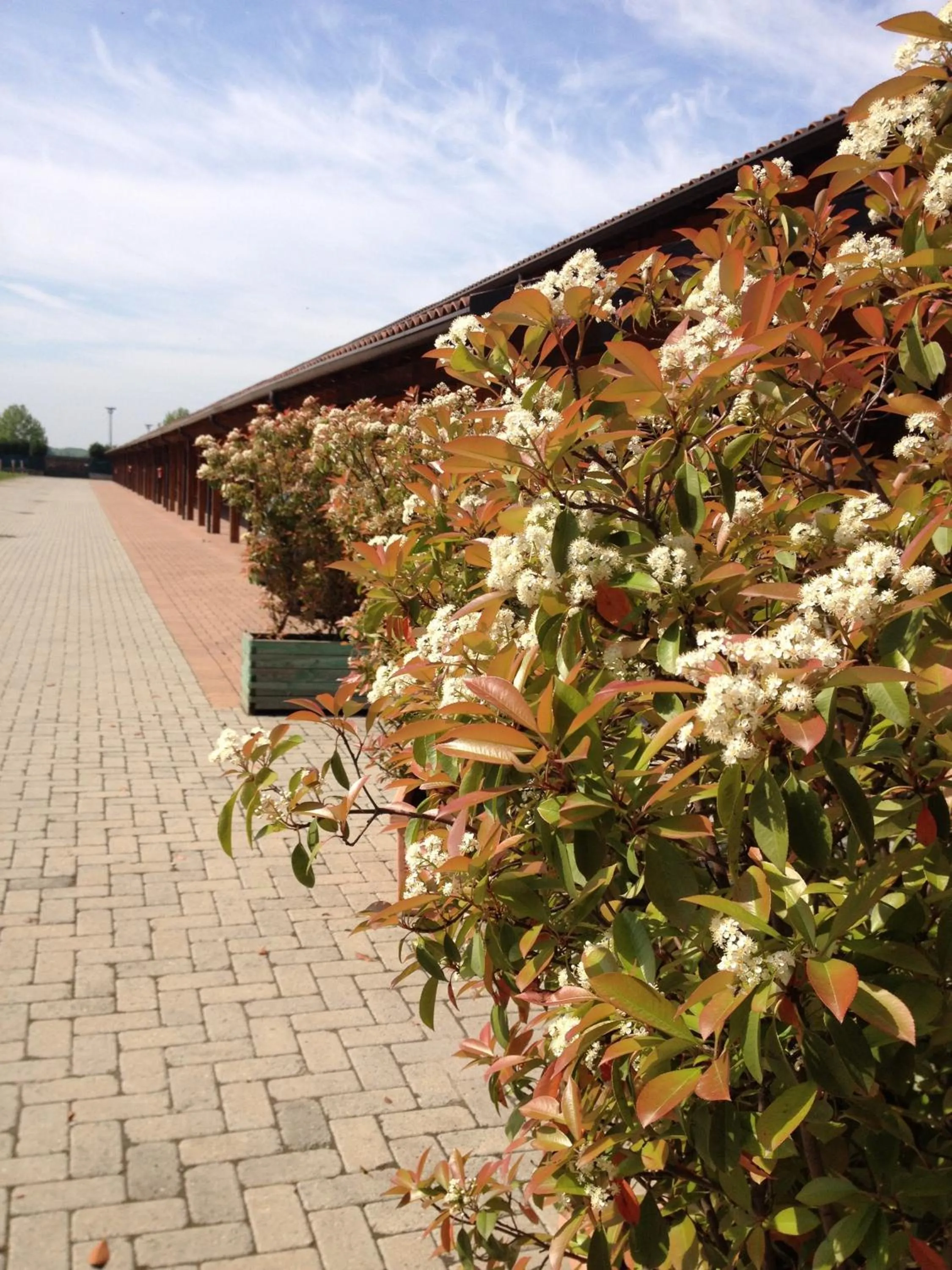 Day in Motel 7 Laghi