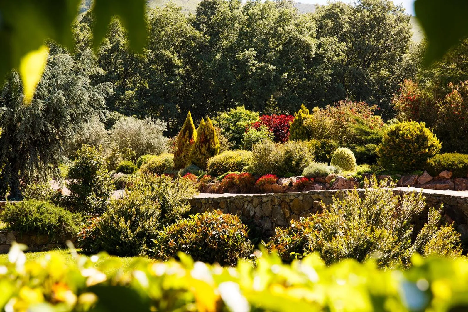 Garden in Hotel Nabia
