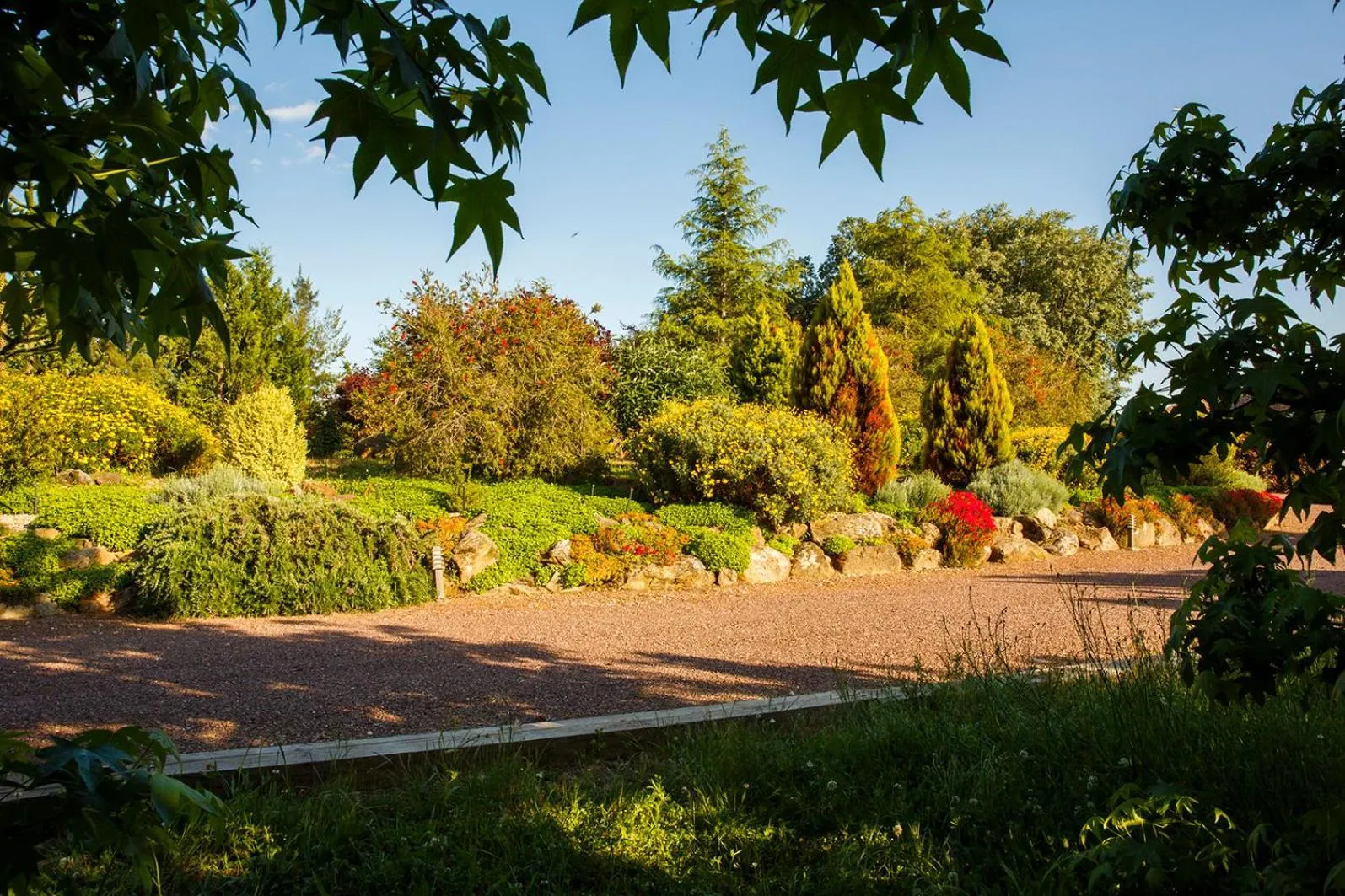 Garden in Hotel Nabia