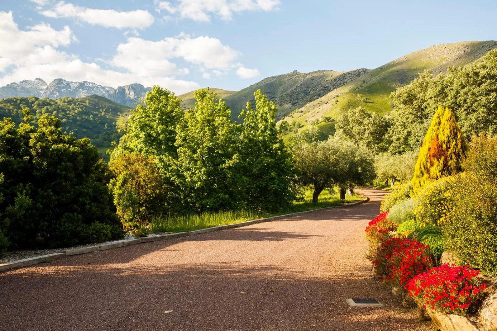 Facade/entrance in Hotel Nabia
