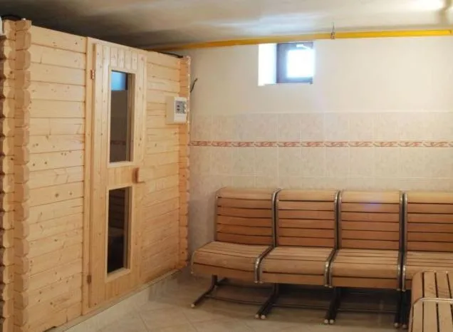 Spa and wellness centre/facilities in Penzion Altendorf