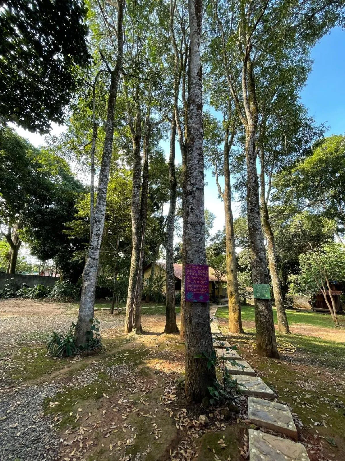 Natural landscape in Vila Amor - Charmosa e Central