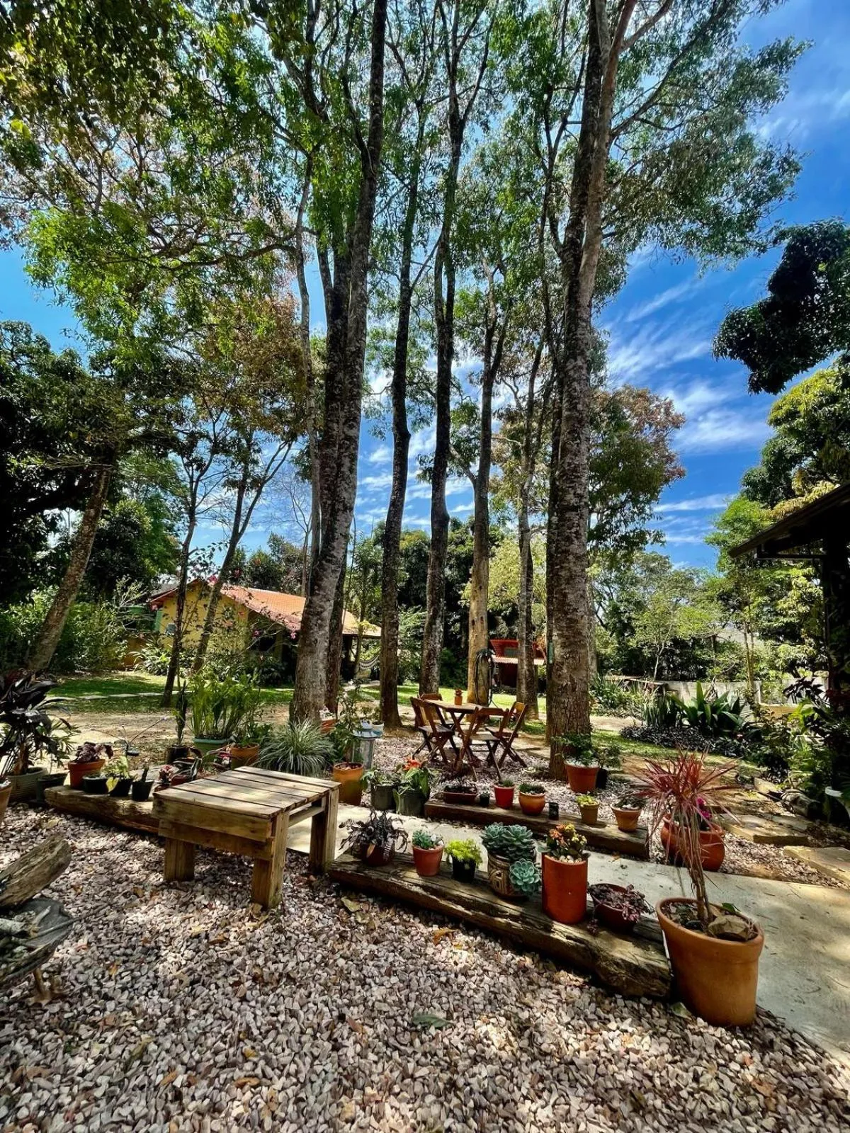 Natural landscape in Vila Amor - Charmosa e Central