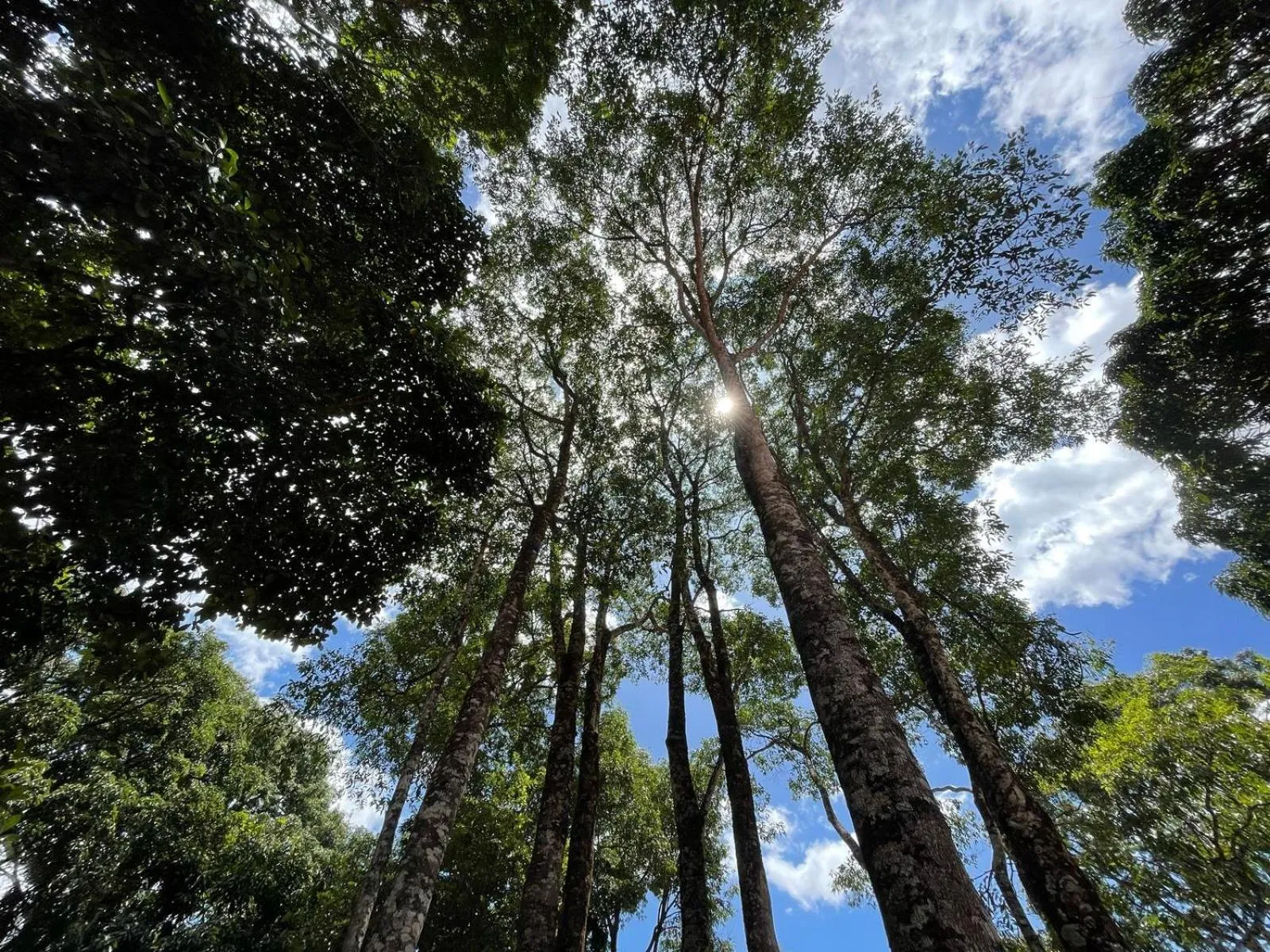 Natural landscape in Vila Amor - Charmosa e Central