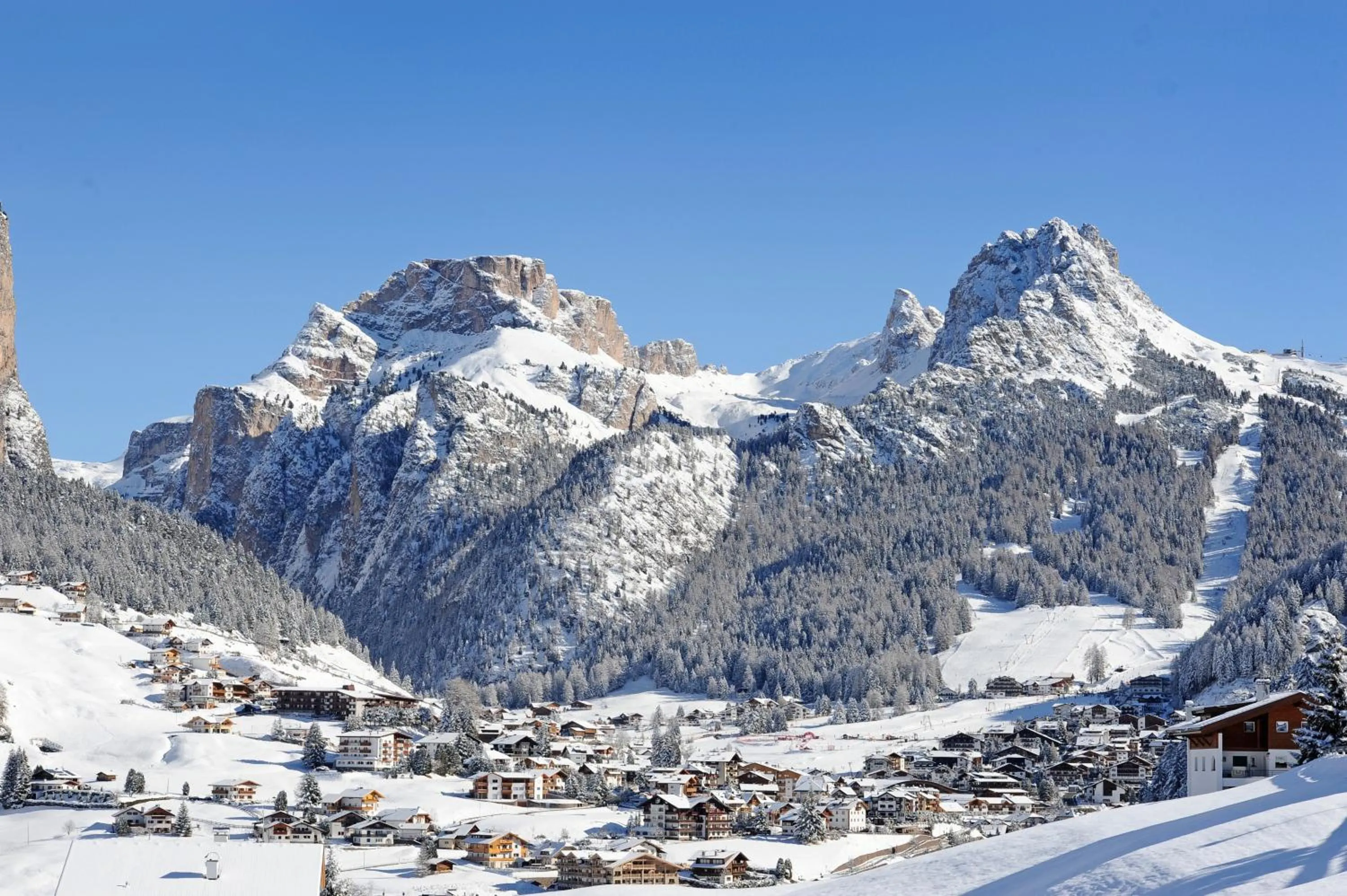 Natural landscape in Hotel La Pineta