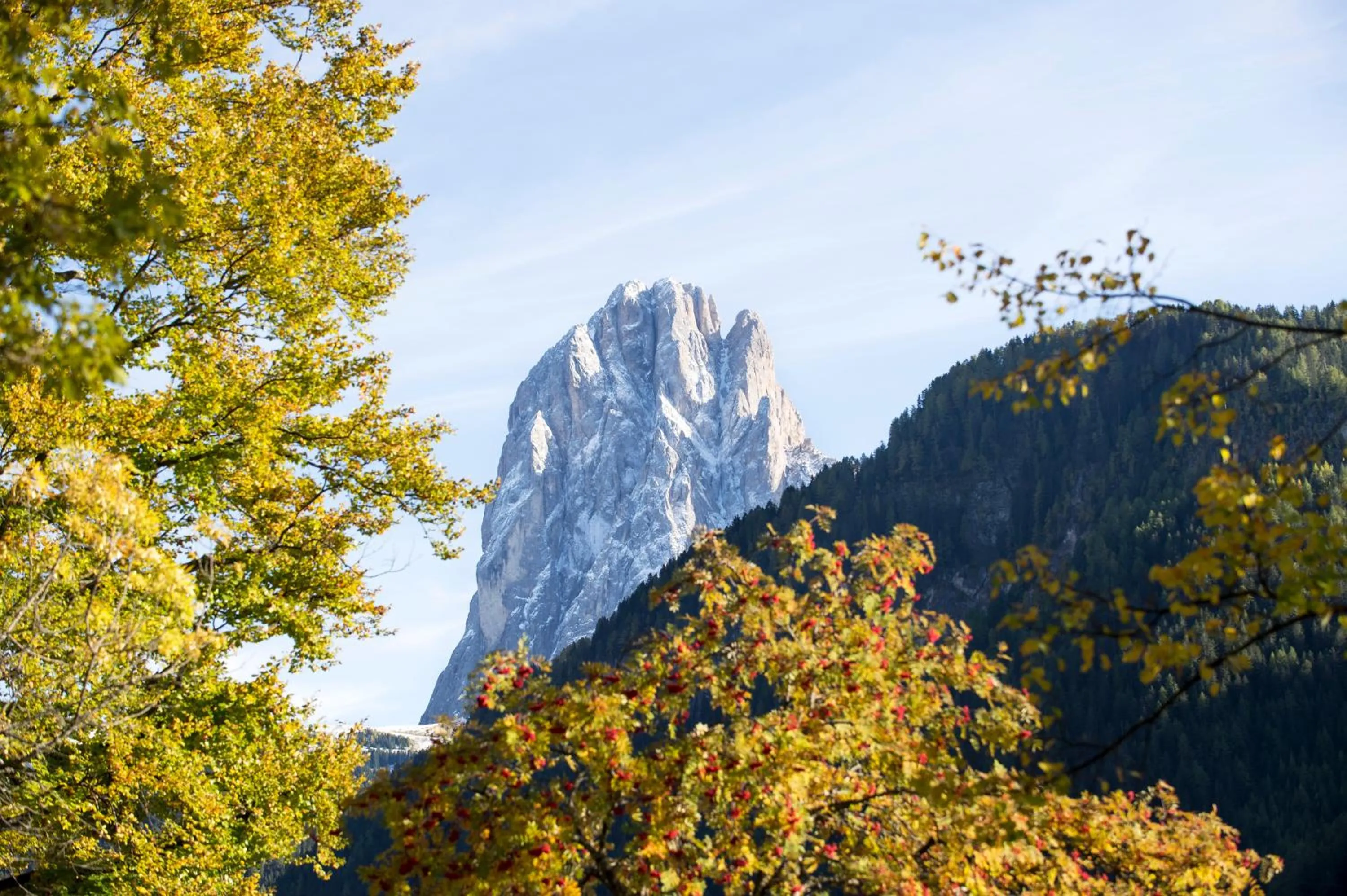 Natural landscape in Hotel La Pineta