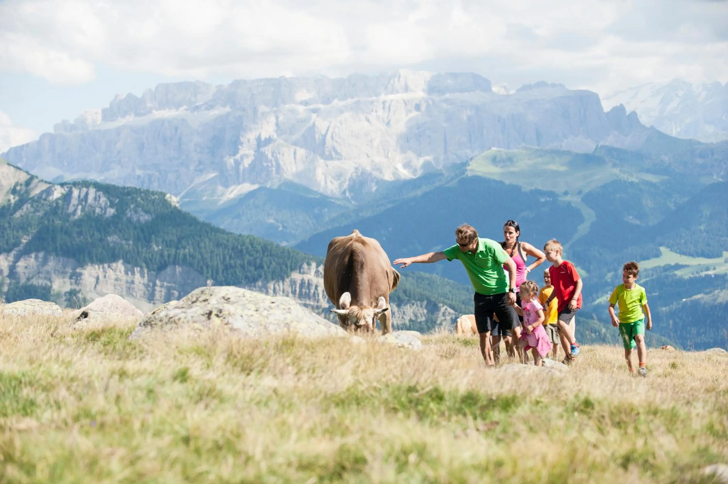 Natural landscape in Hotel La Pineta
