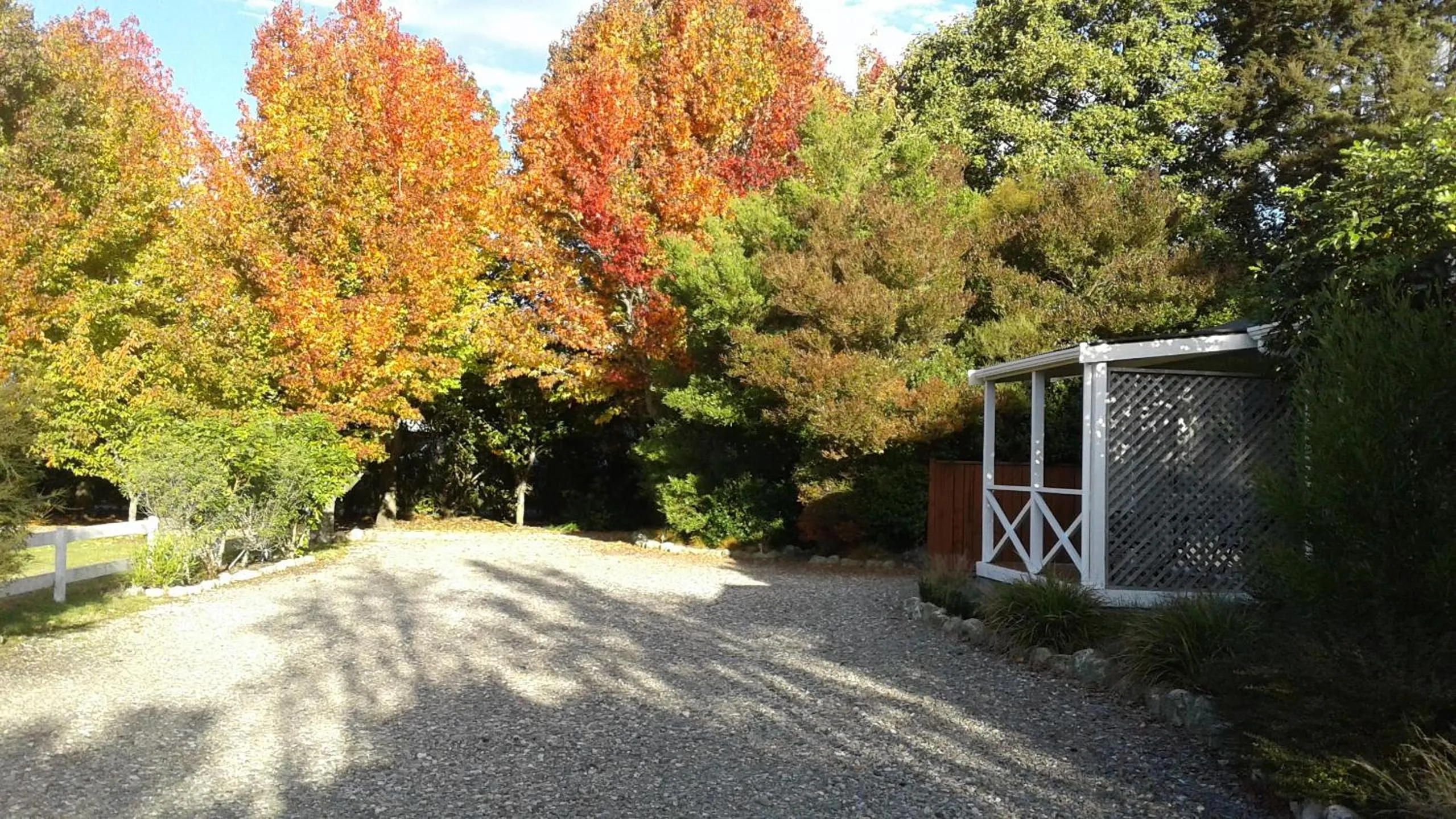 Garden view in Abel Tasman Haven