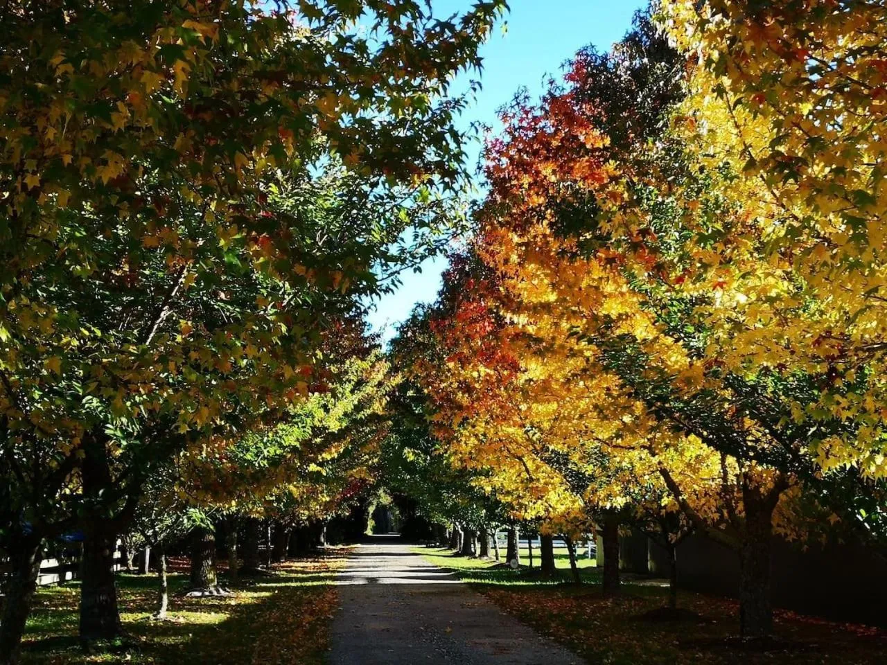 Natural landscape in Abel Tasman Haven