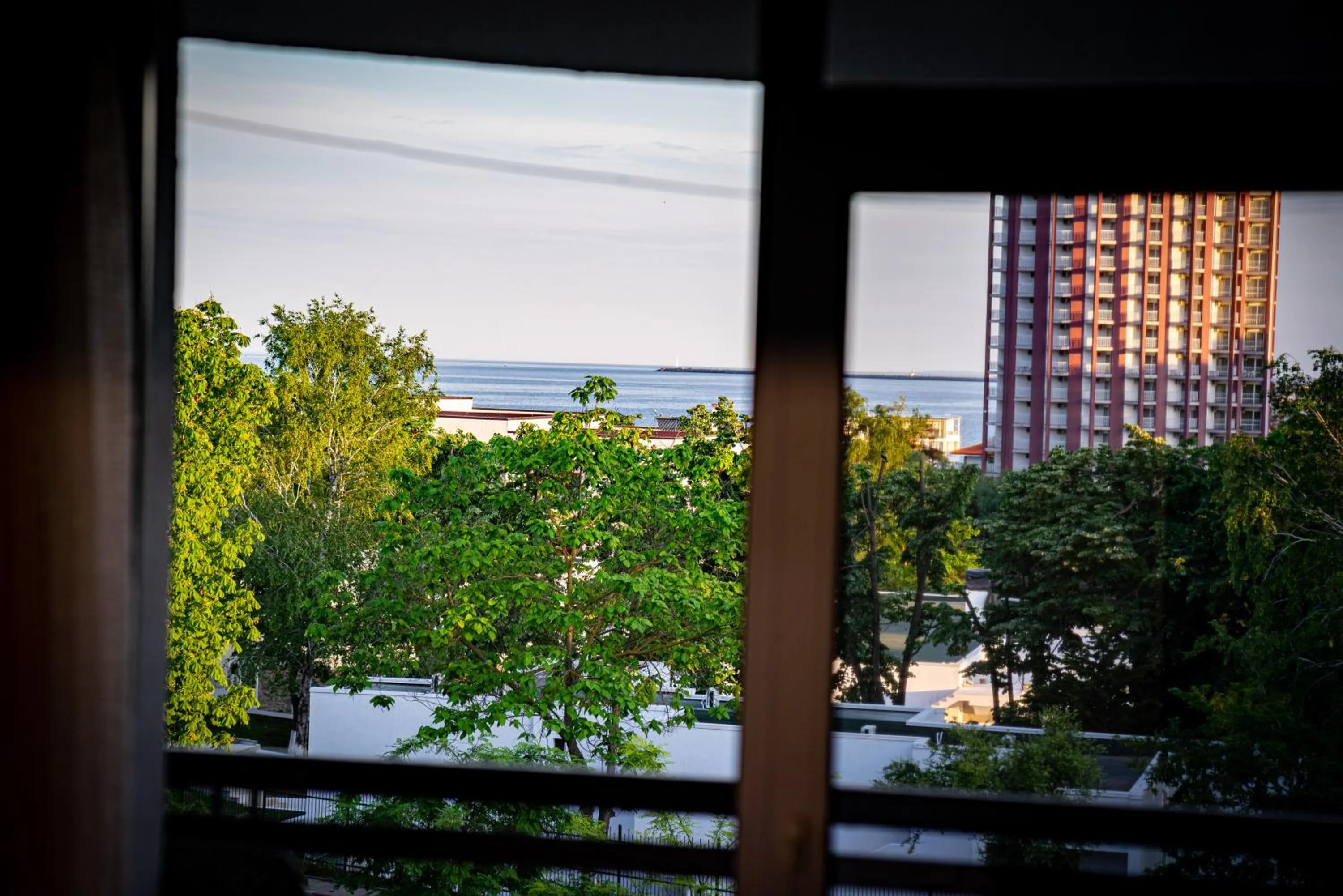 Balcony/Terrace in Hotel Corina