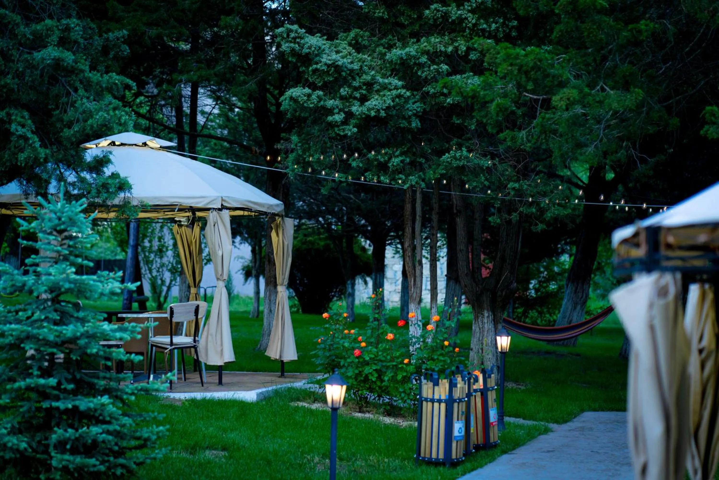 Garden in Hotel Corina