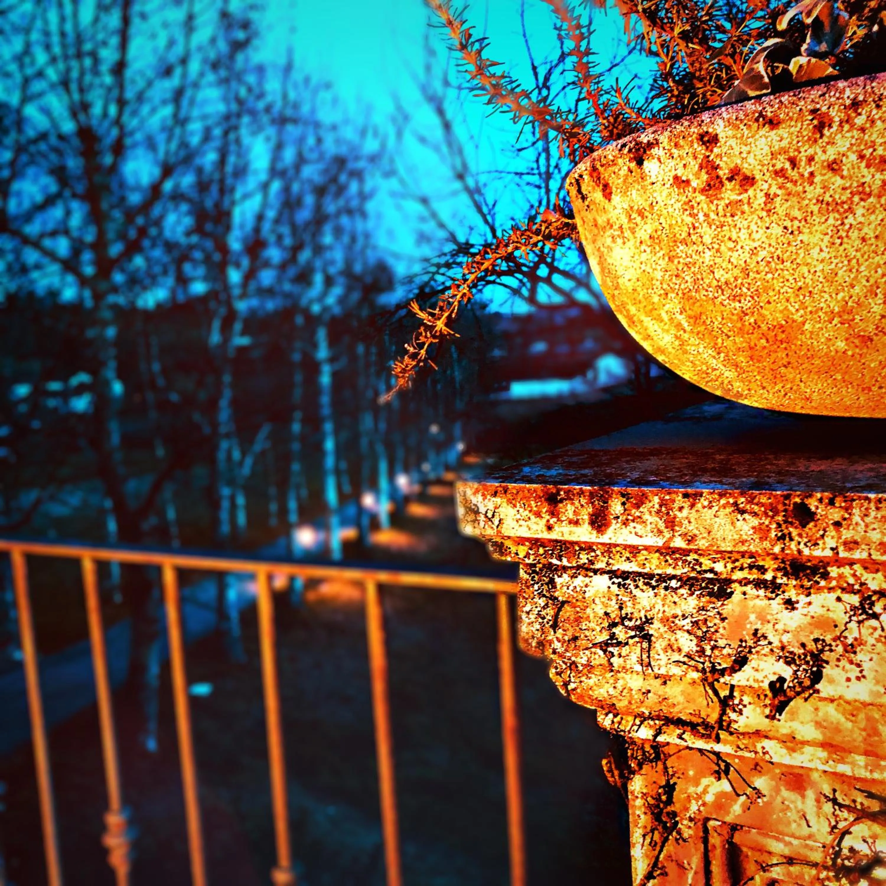 Balcony/Terrace in Hotel La Fertè