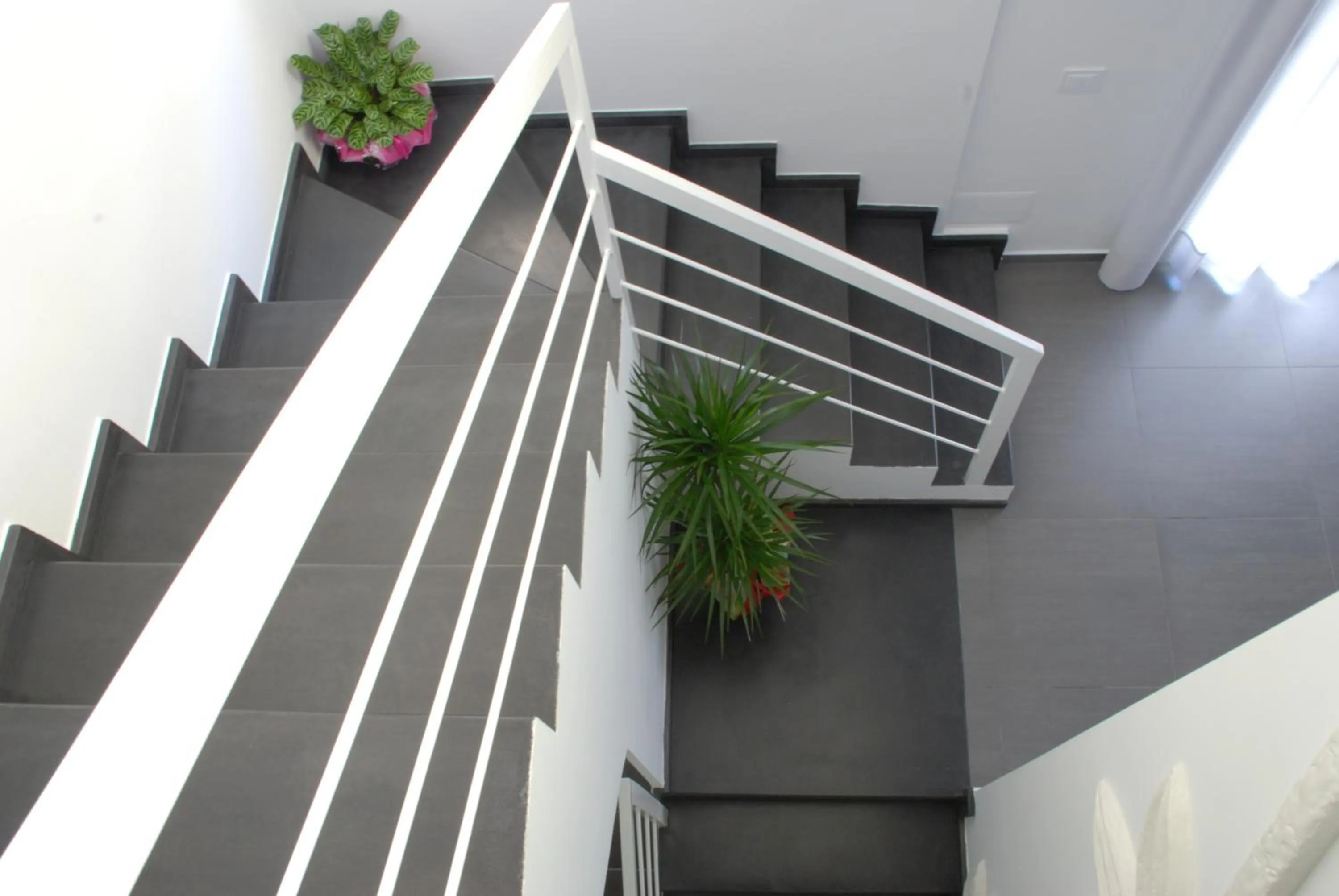 Decorative detail in Piccola Caracas B&B