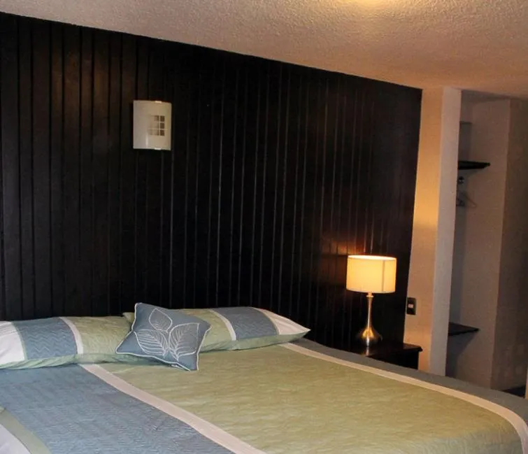 Deluxe Room in Hotel Avenida