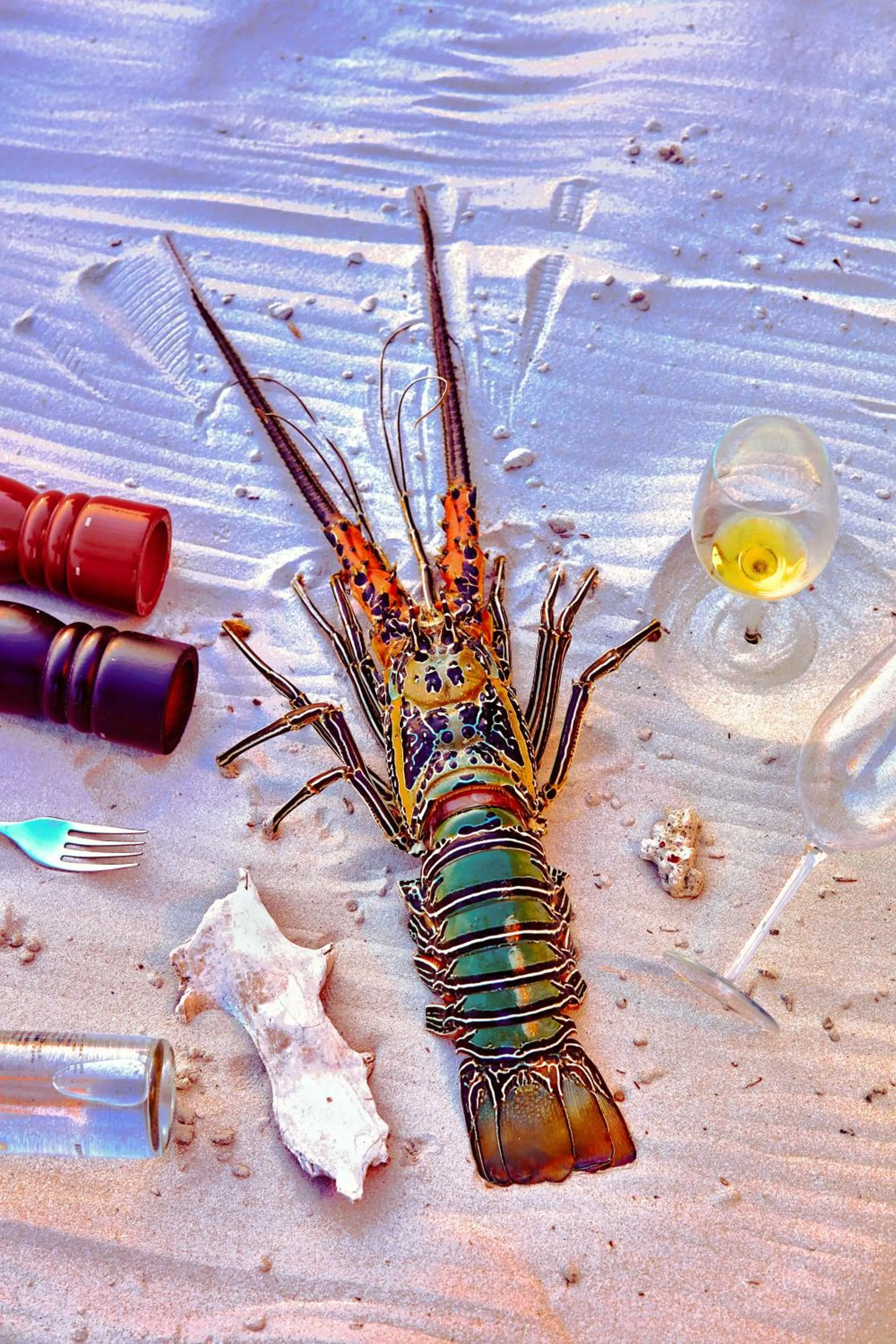 Food close-up in Taj Exotica Resort & Spa, Andamans