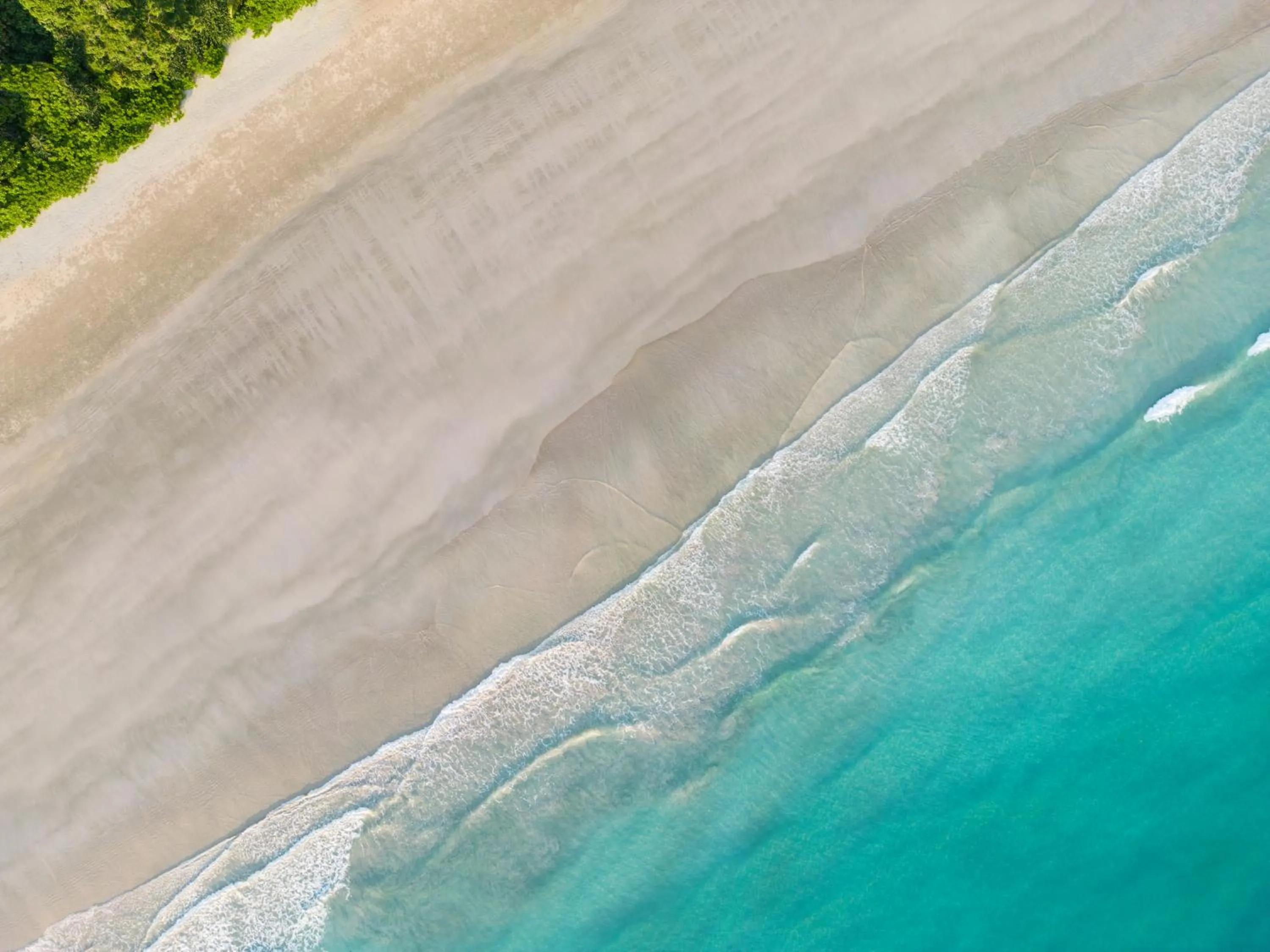 Natural landscape in Taj Exotica Resort & Spa, Andamans