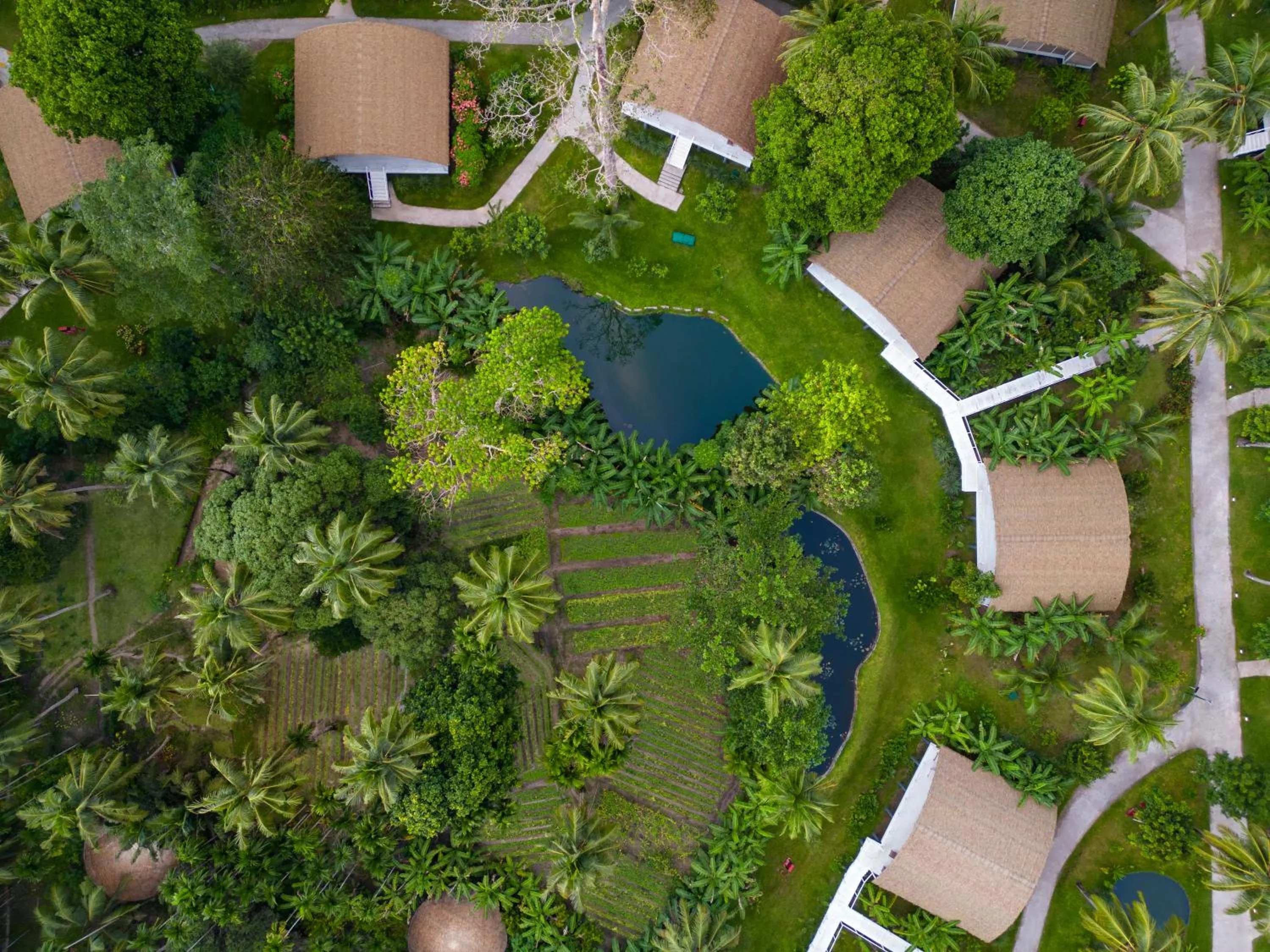 Natural landscape in Taj Exotica Resort & Spa, Andamans