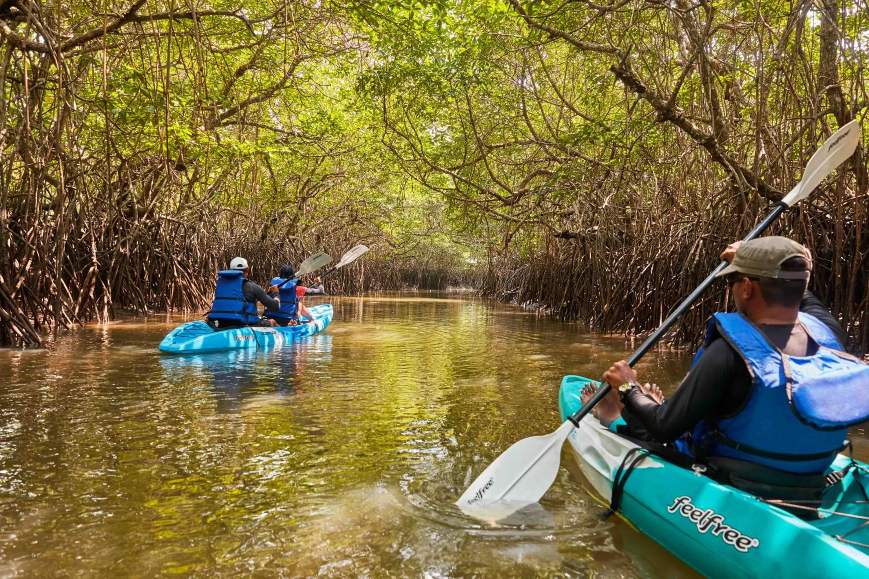 Natural landscape in Taj Exotica Resort & Spa, Andamans