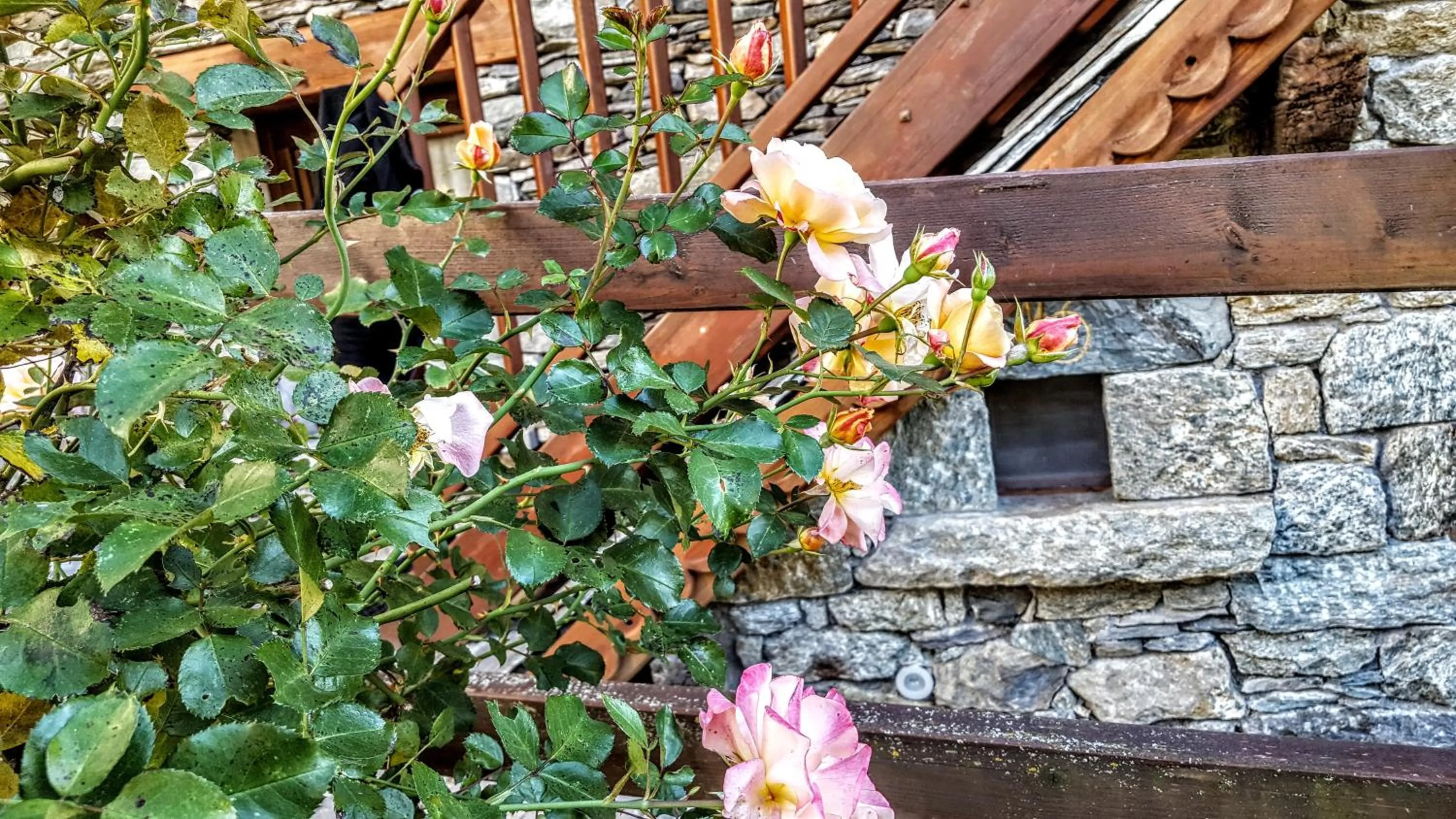 Property building in Eco Chalet Maison Dominique