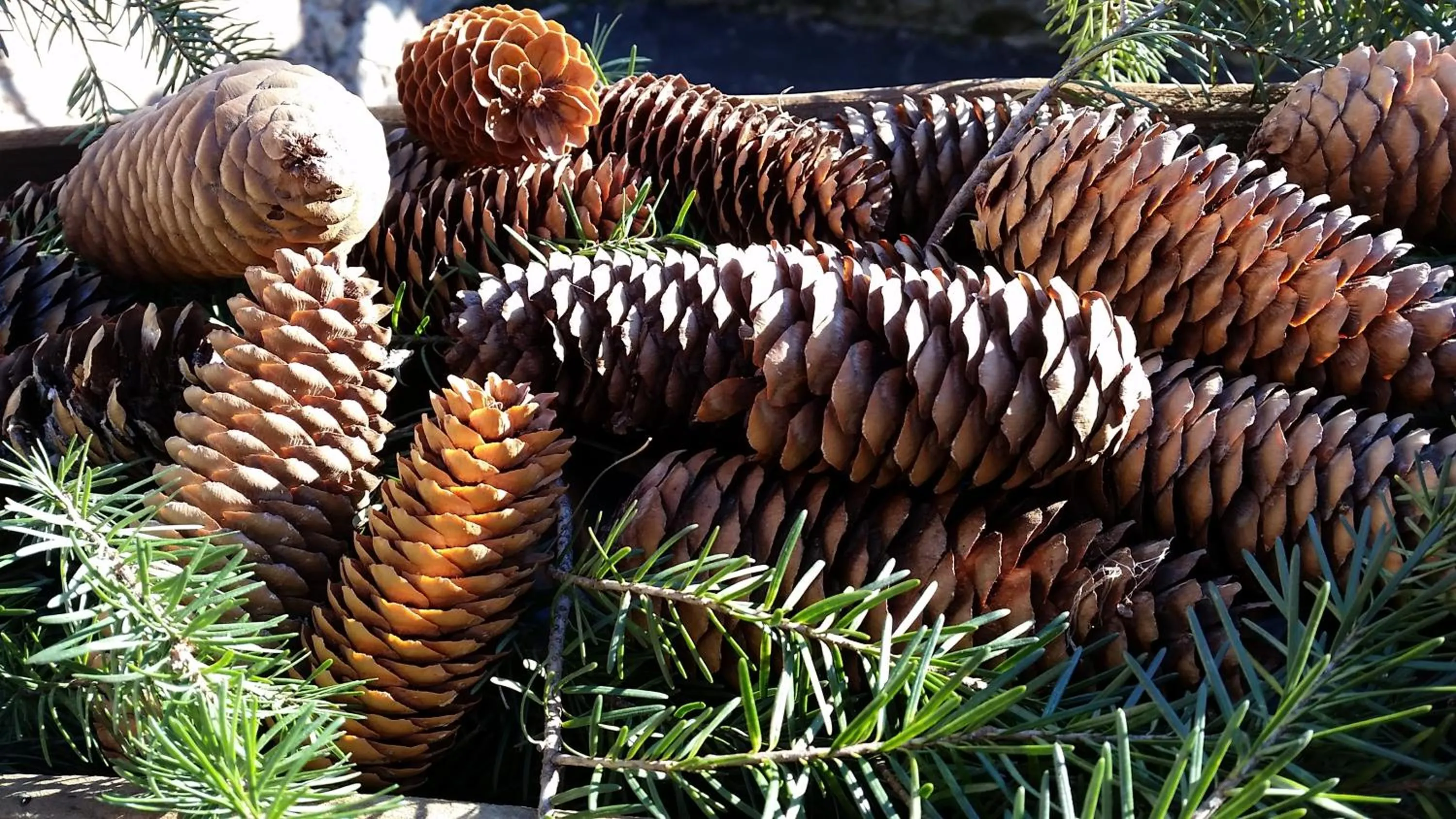 Other in Eco Chalet Maison Dominique