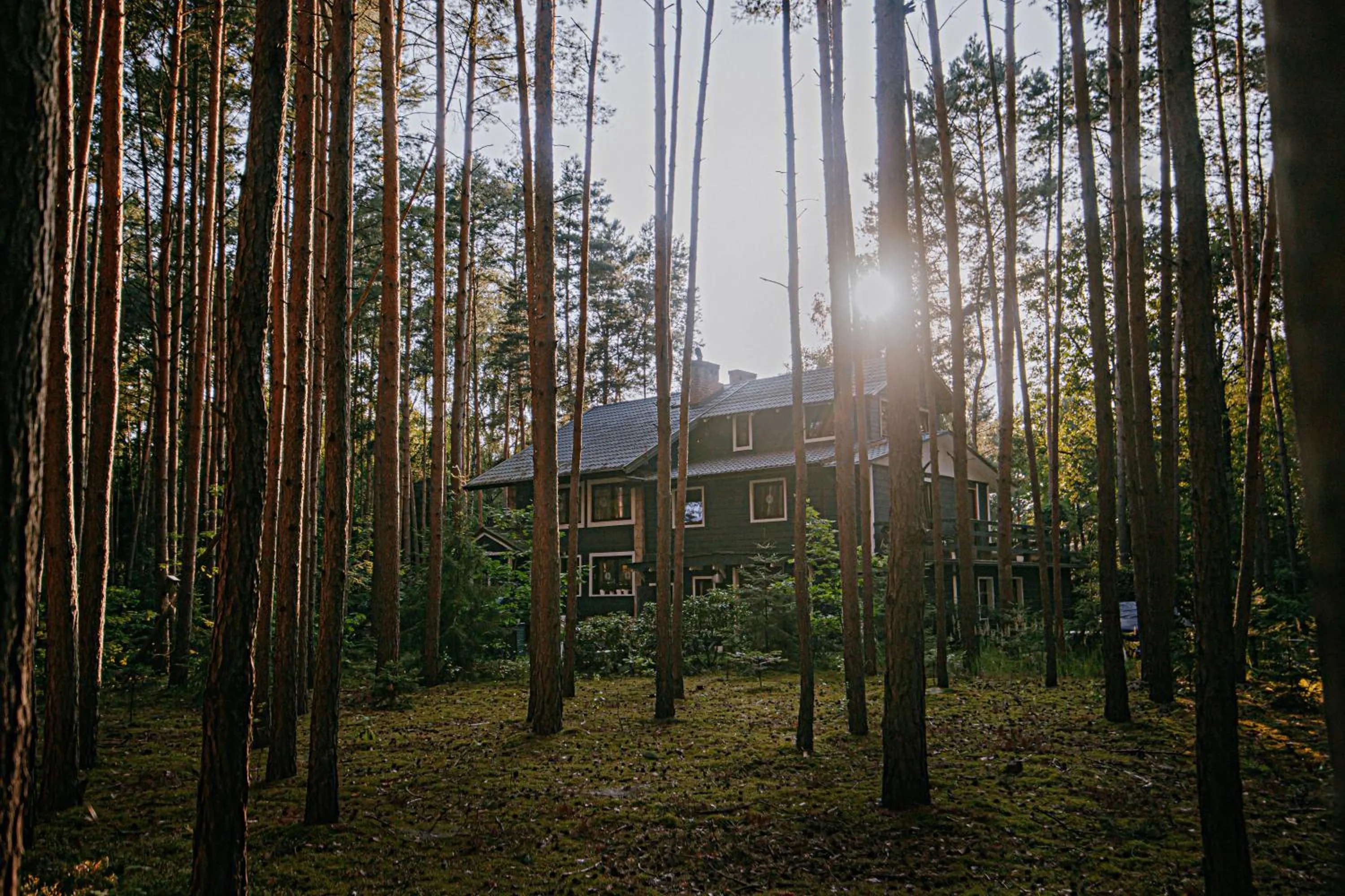 Property building in Zacisze Leśne nad Pilicą
