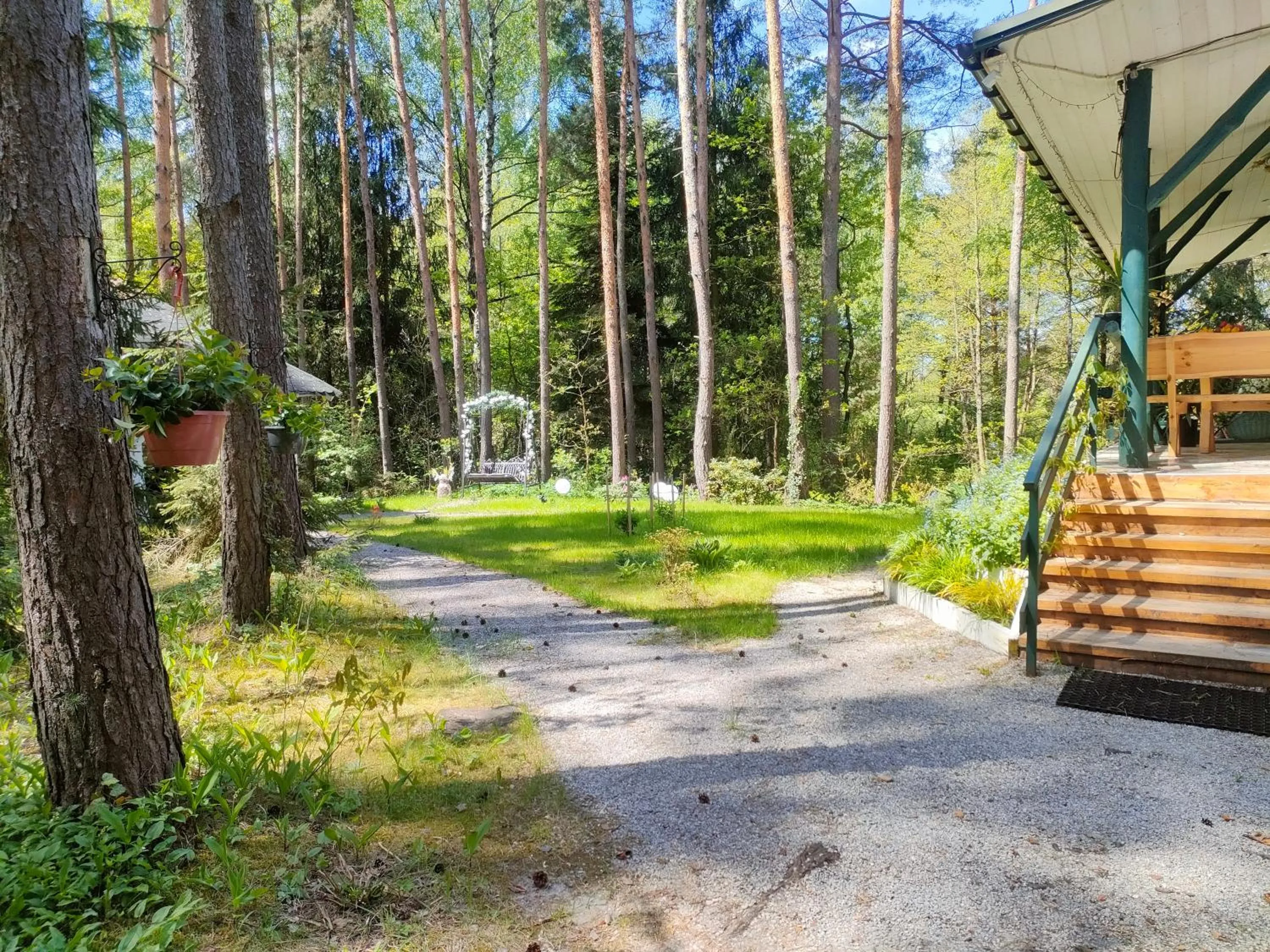 Natural landscape in Zacisze Leśne nad Pilicą