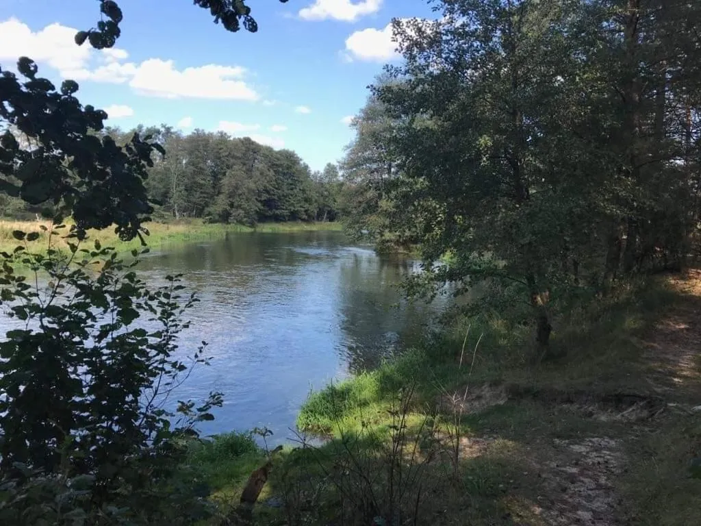 Beach in Zacisze Leśne nad Pilicą