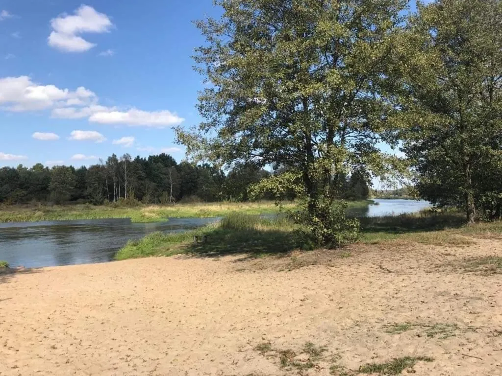 Beach in Zacisze Leśne nad Pilicą