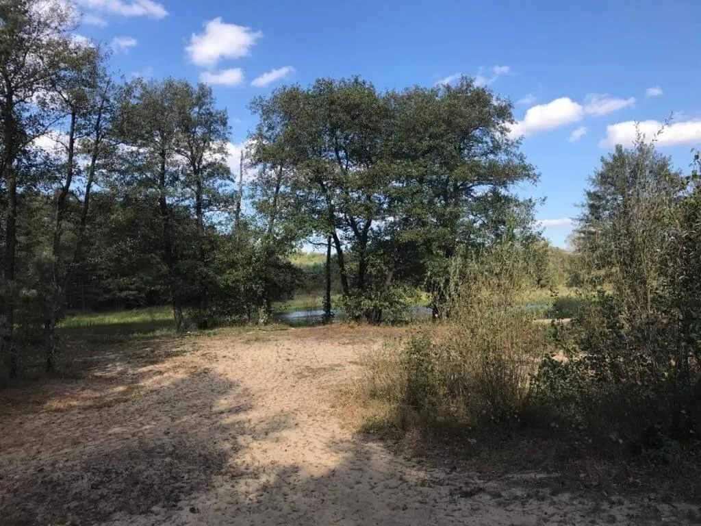 Beach in Zacisze Leśne nad Pilicą