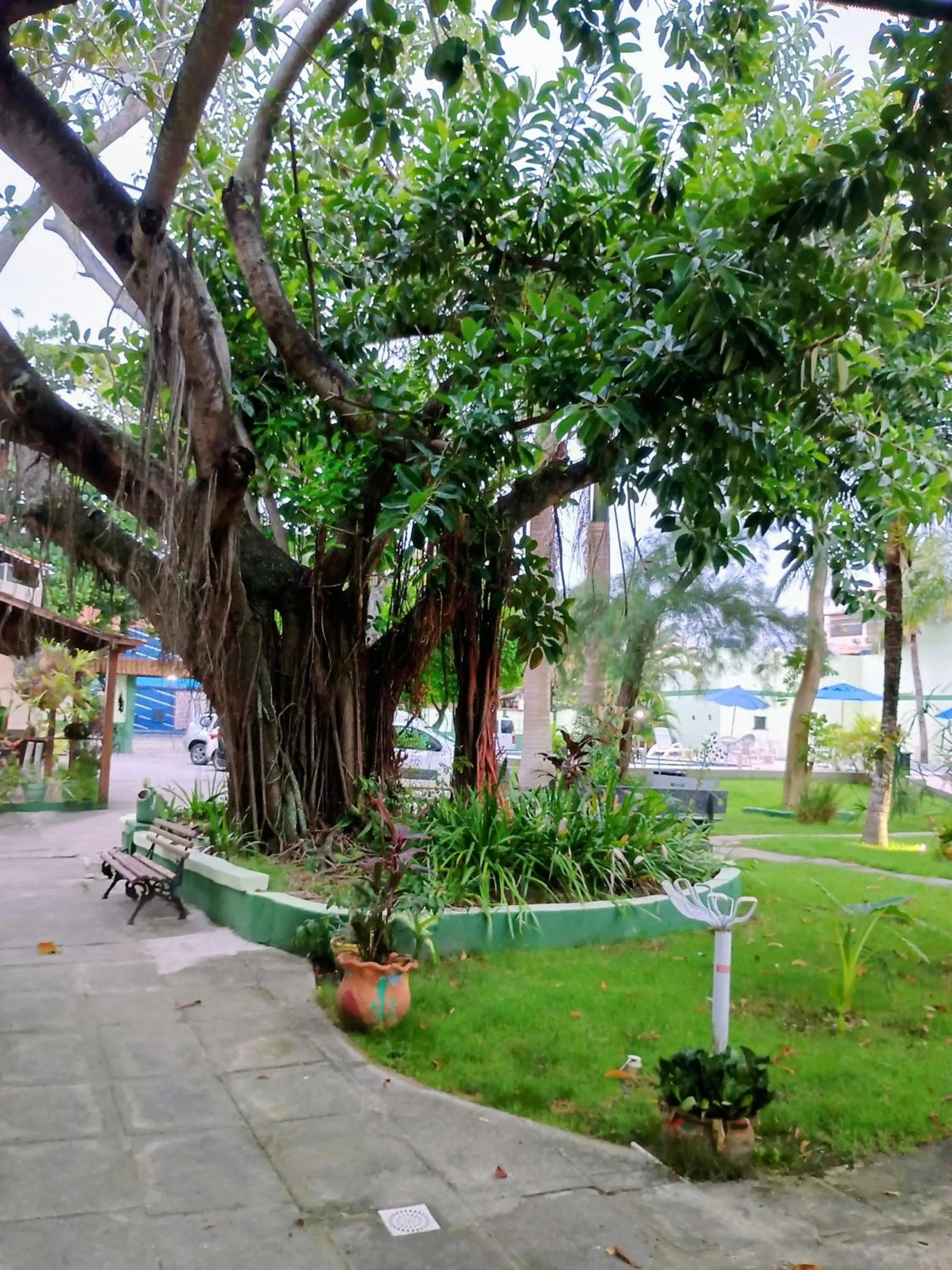 Garden in OYO Pousada Recanto Shangrilá, Cabo Frio
