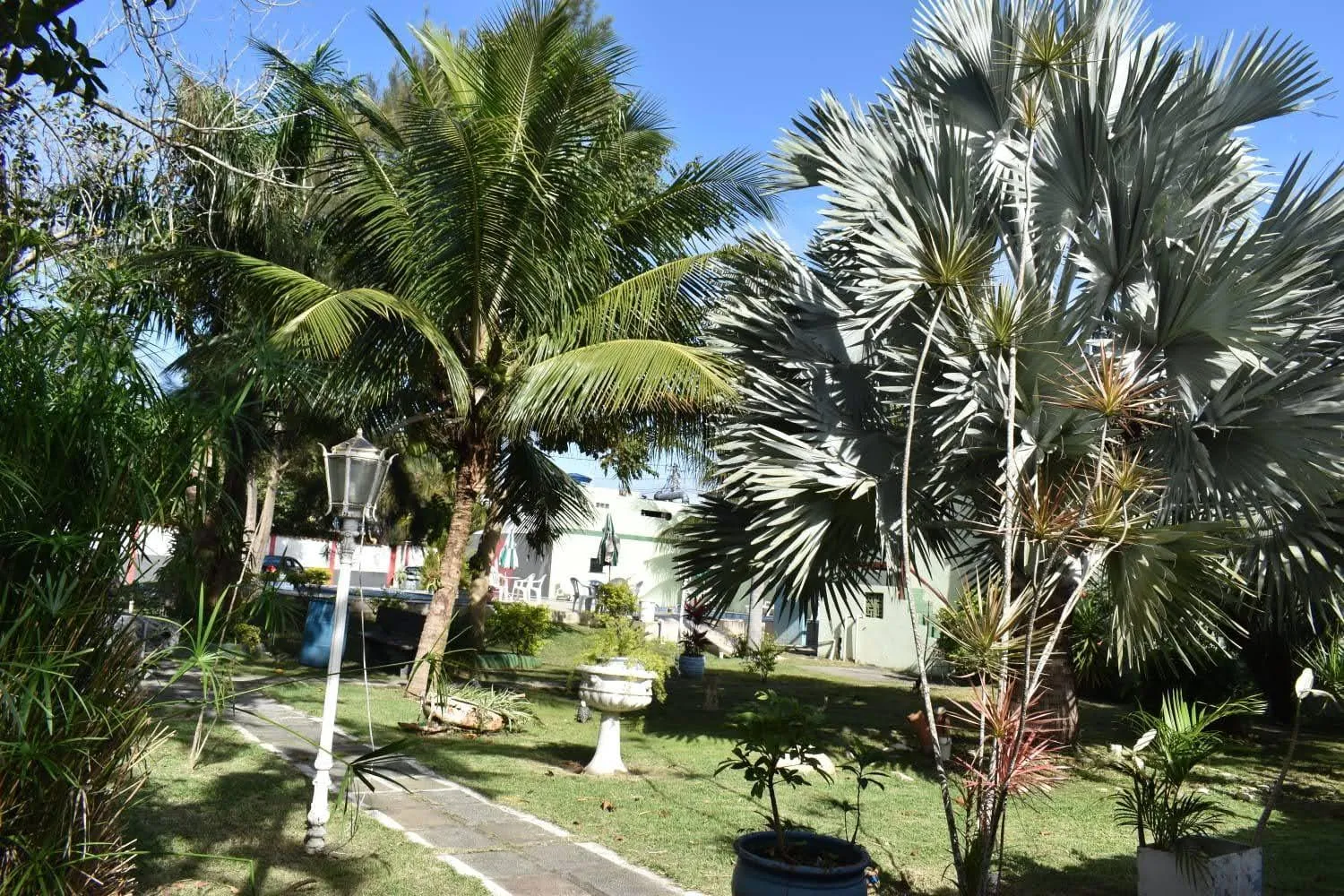 Natural landscape in OYO Pousada Recanto Shangrilá, Cabo Frio