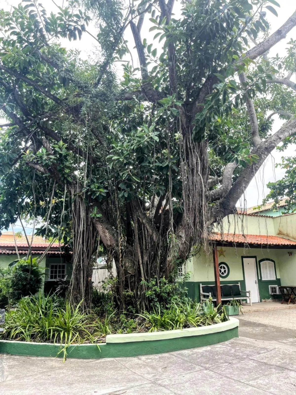 Natural landscape in OYO Pousada Recanto Shangrilá, Cabo Frio