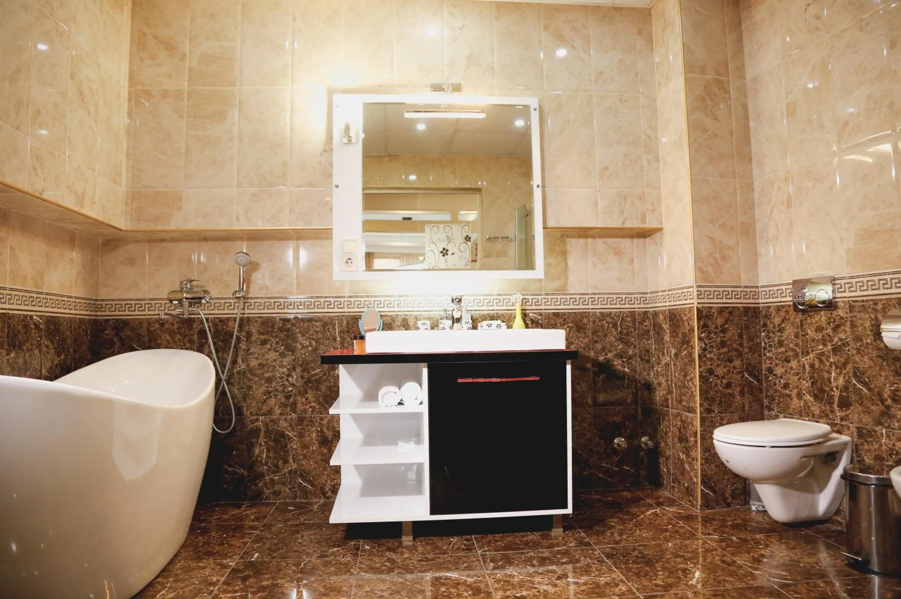 Toilet in Hotel King David The Builder