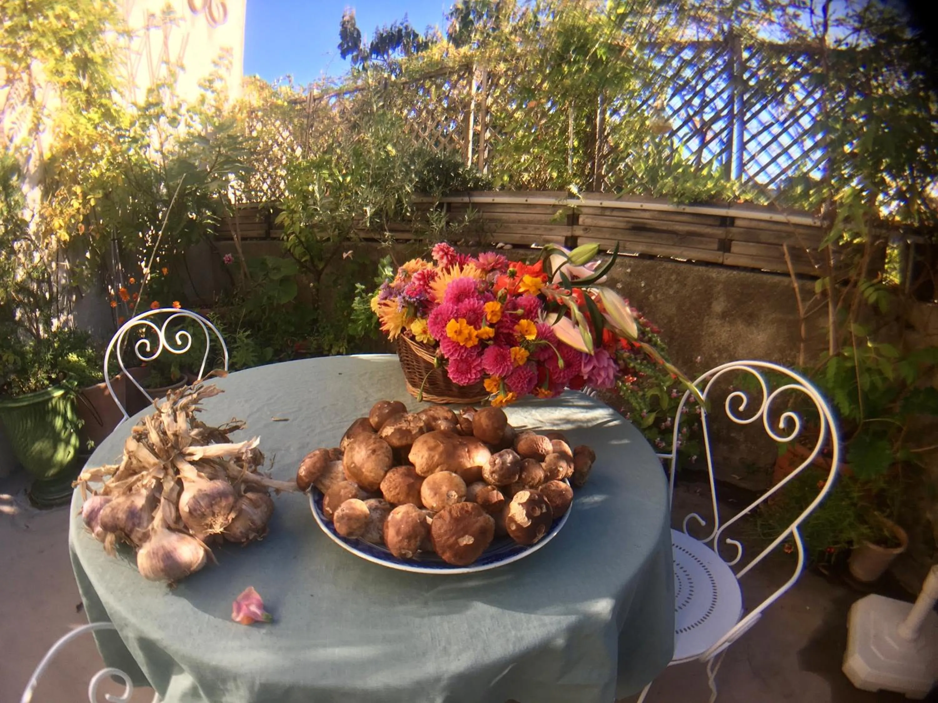 Property building in Les Asphodèles Amélie