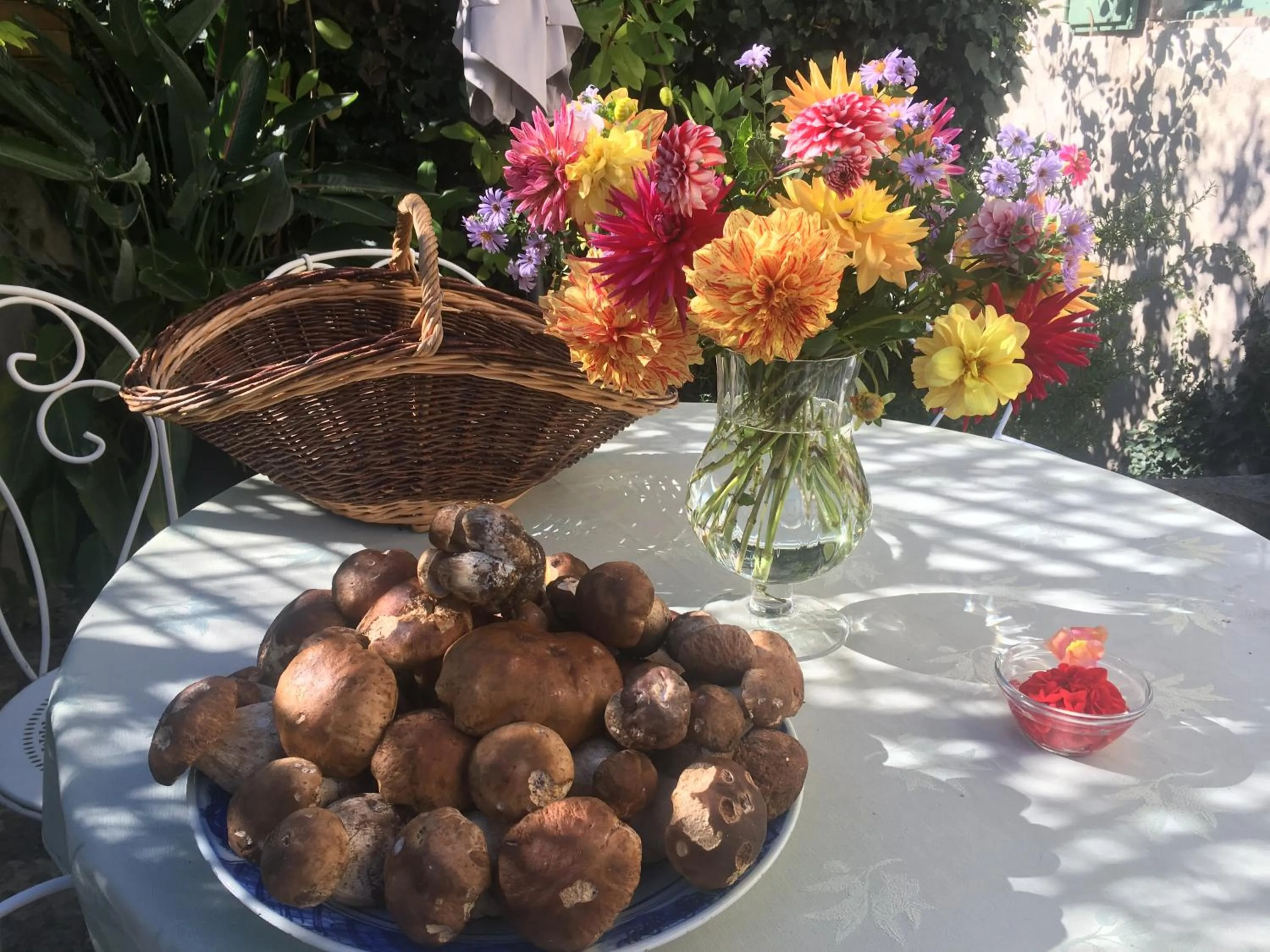 Property building in Les Asphodèles Amélie
