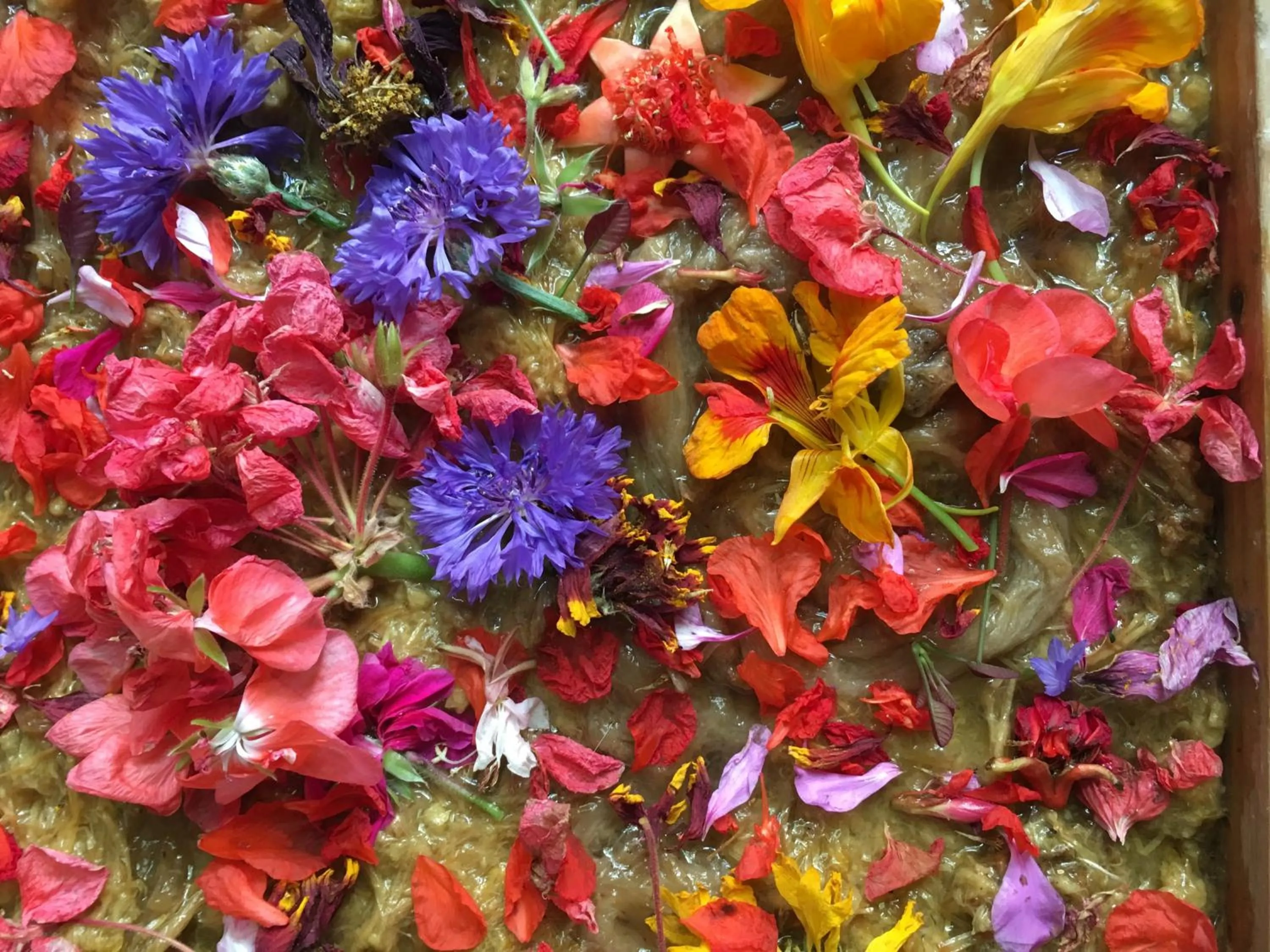 Patio in Les Asphodèles Amélie