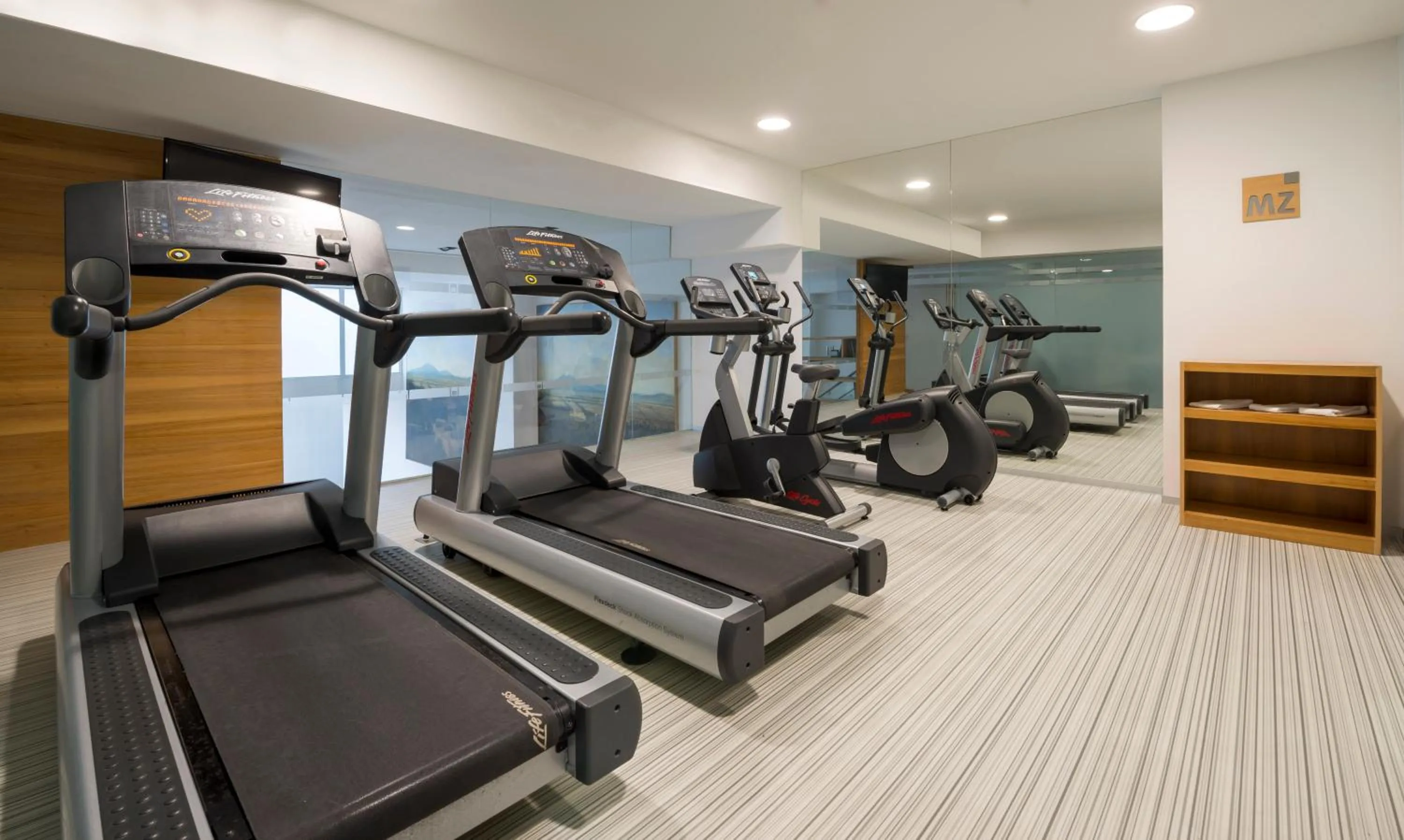 Fitness centre/facilities in Camino Real Puebla Angelopolis