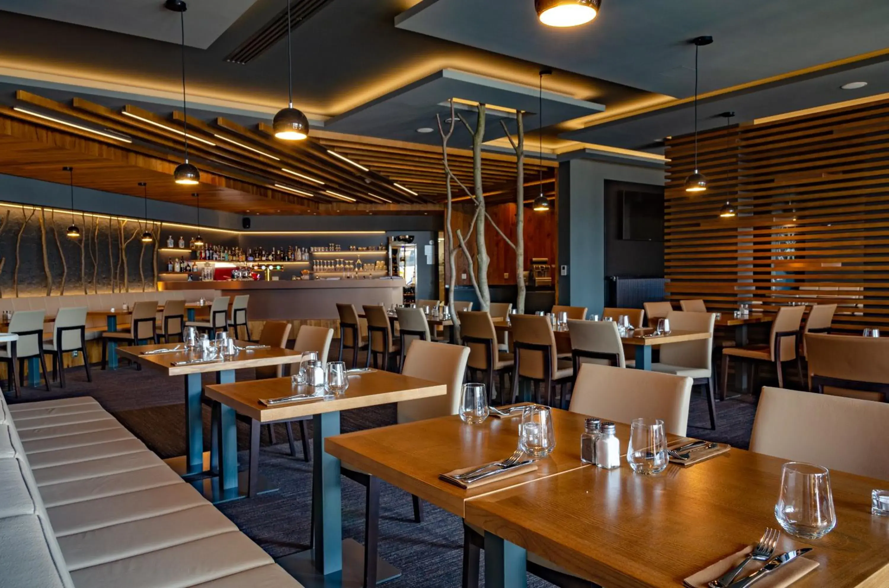 Restaurant/places to eat in Hotel D1 Restaurant/places to eat in Hotel D1