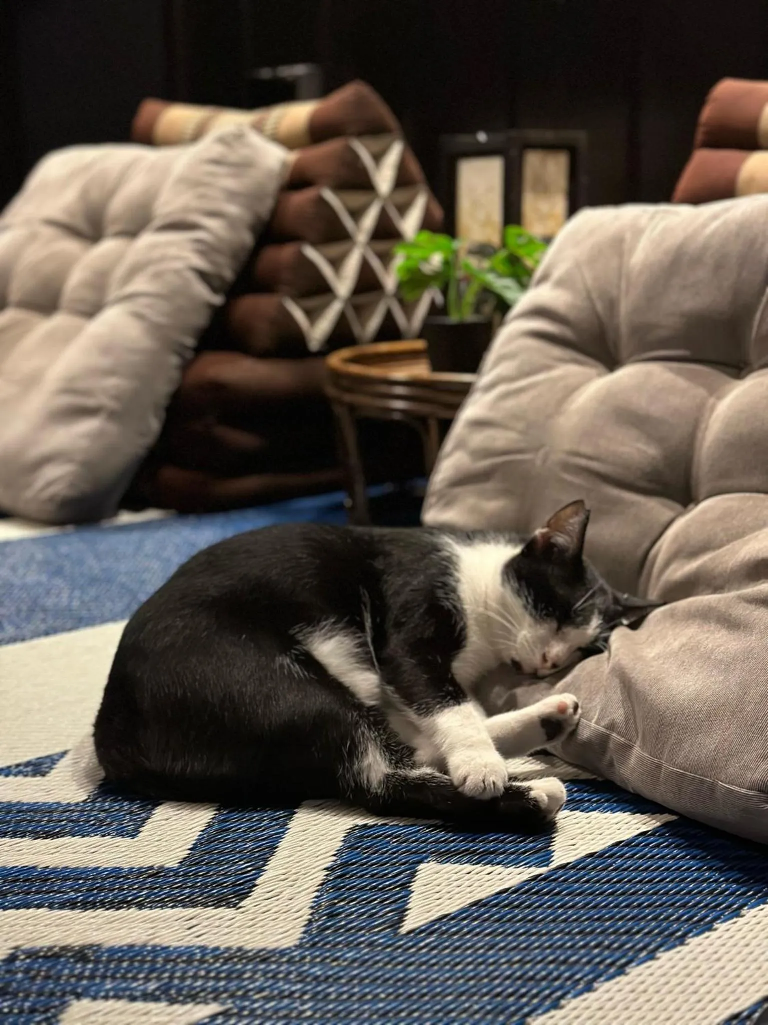 Lobby or reception in Kloem Hostel