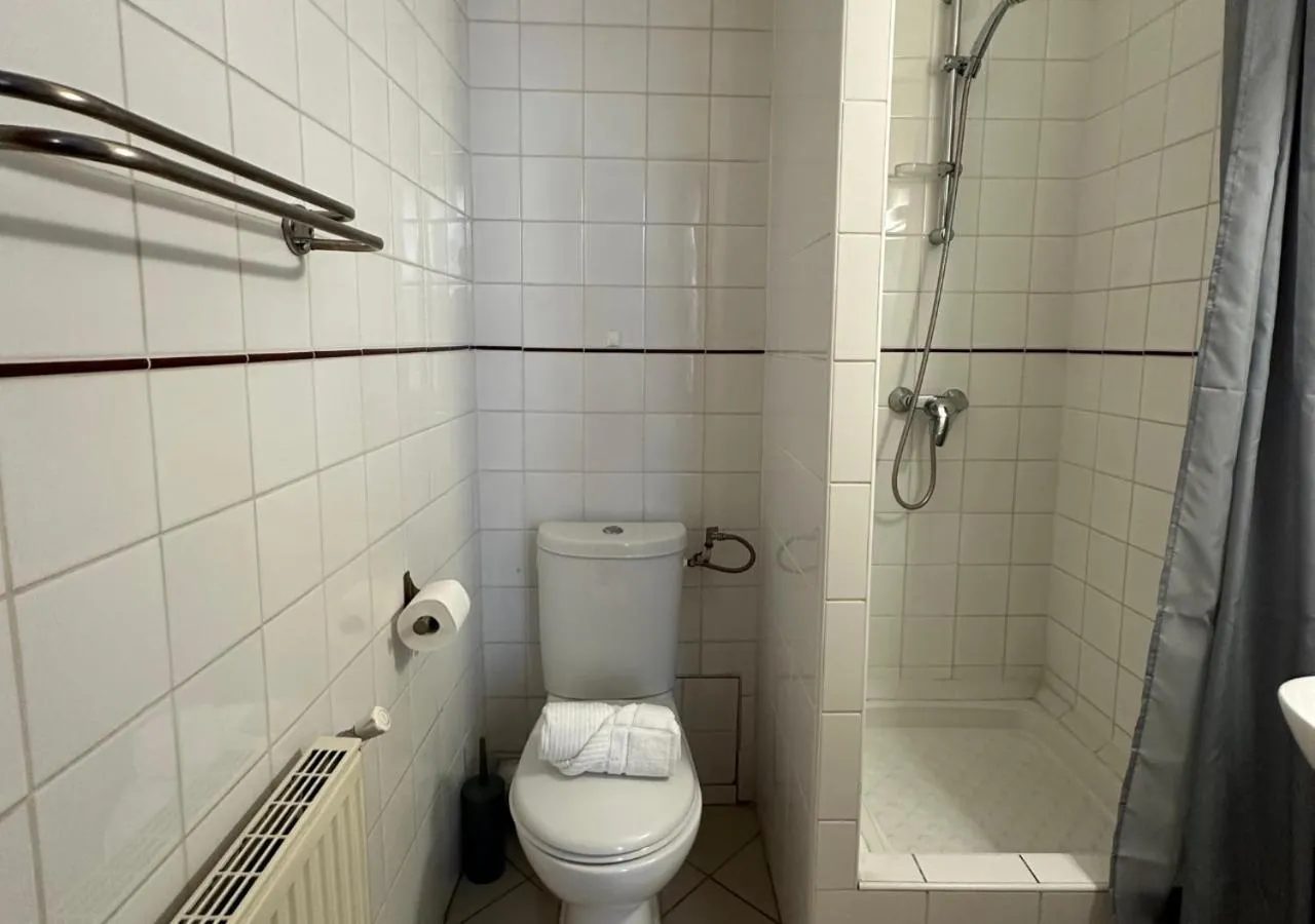 Shower in Hôtel Victor Hugo