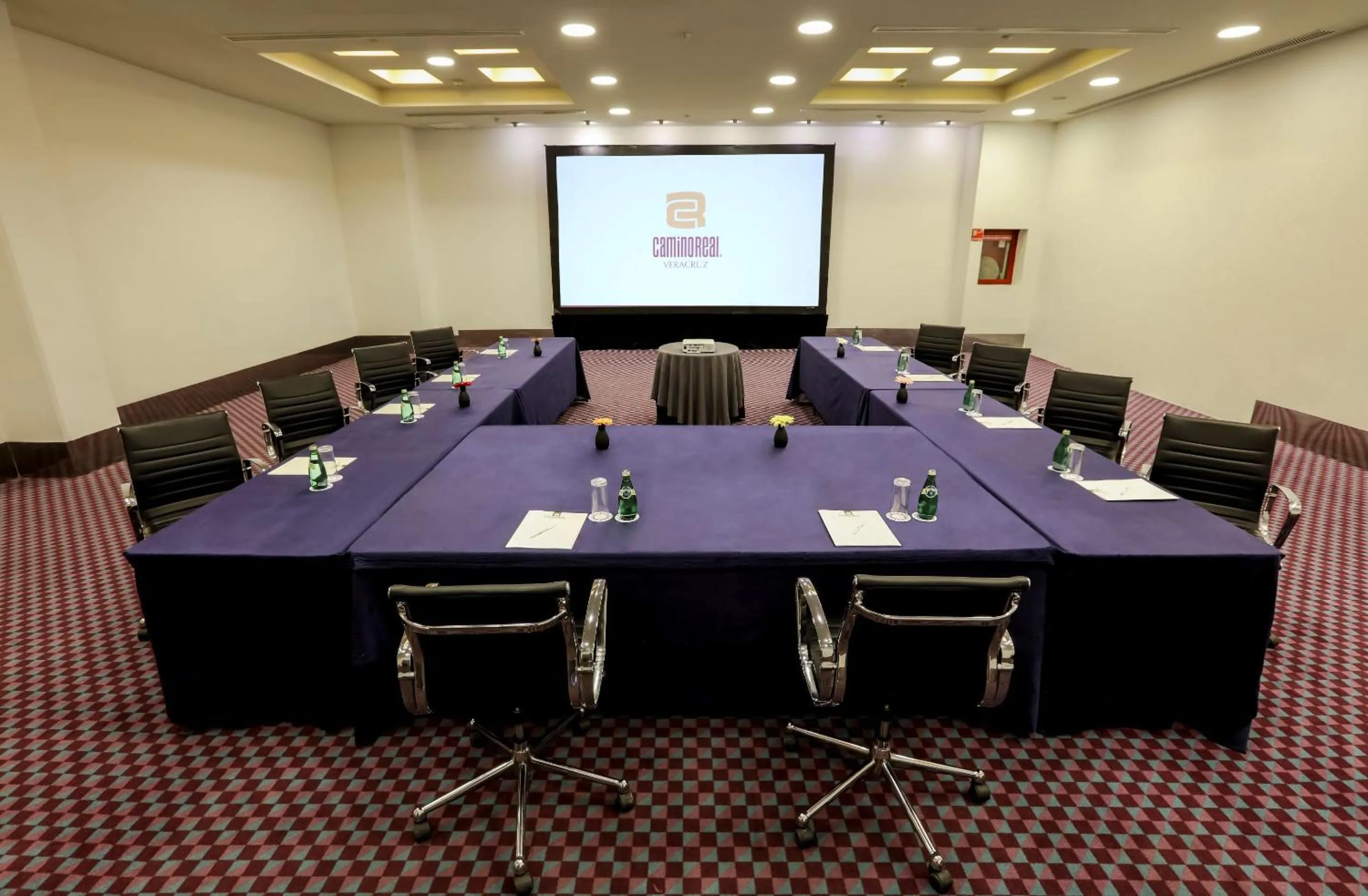 Meeting/conference room in Camino Real Veracruz